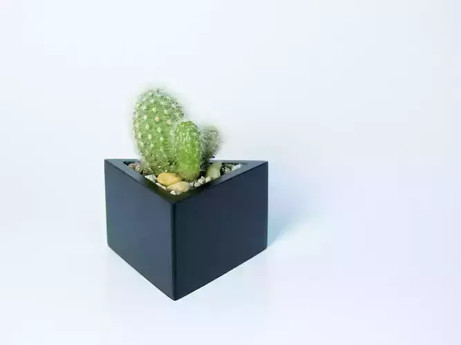 Prisma planter 3D print model