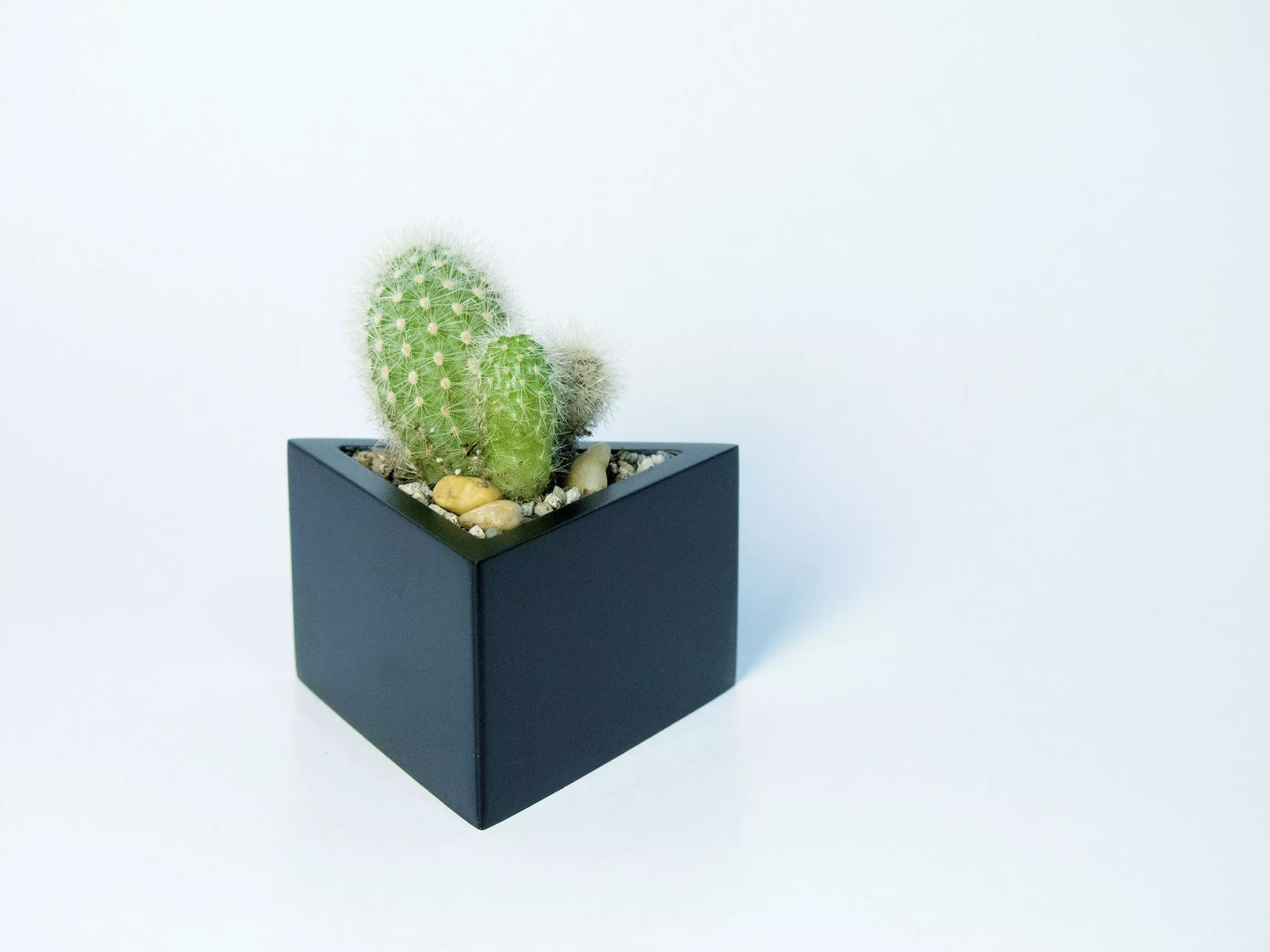 Prisma planter 3D print model_0