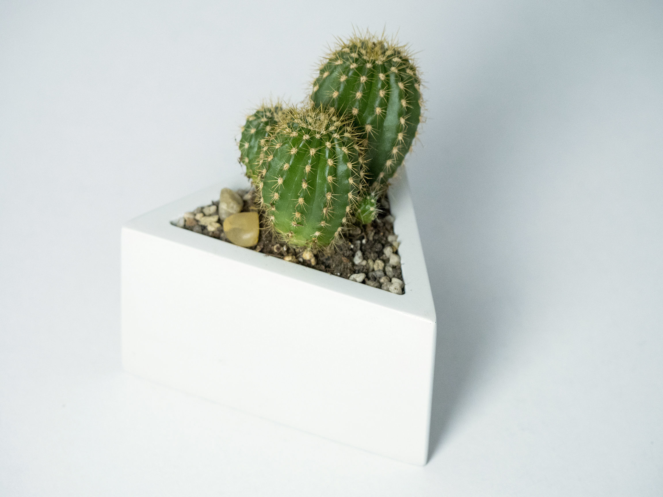 Prisma planter 3D print model_4