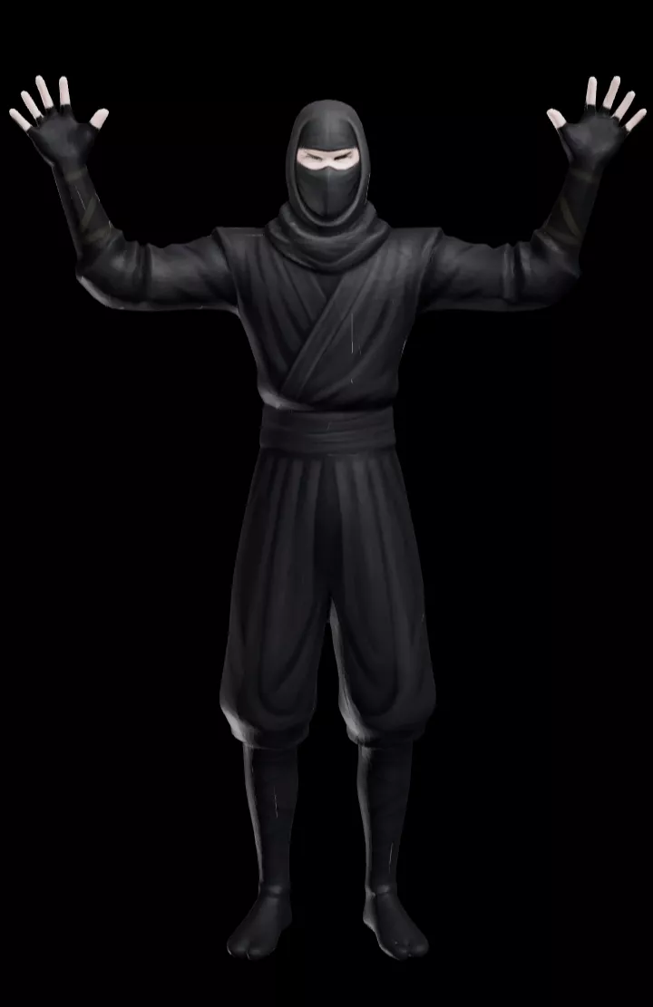 Dark Masked Ninja Free 3D model
