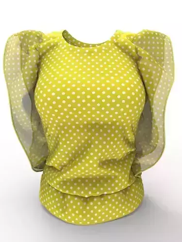 Stylish Designer Women Top 3D model Free 3D model