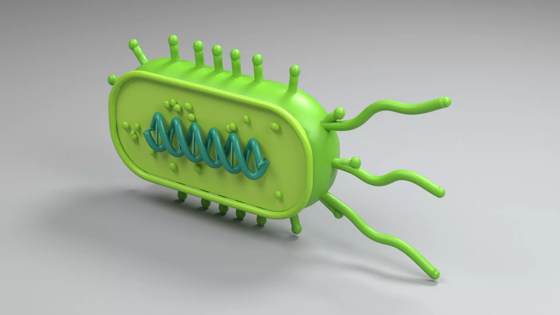 Green Bacterial Cell Cutaway with DNA Coil Low-poly 3D model