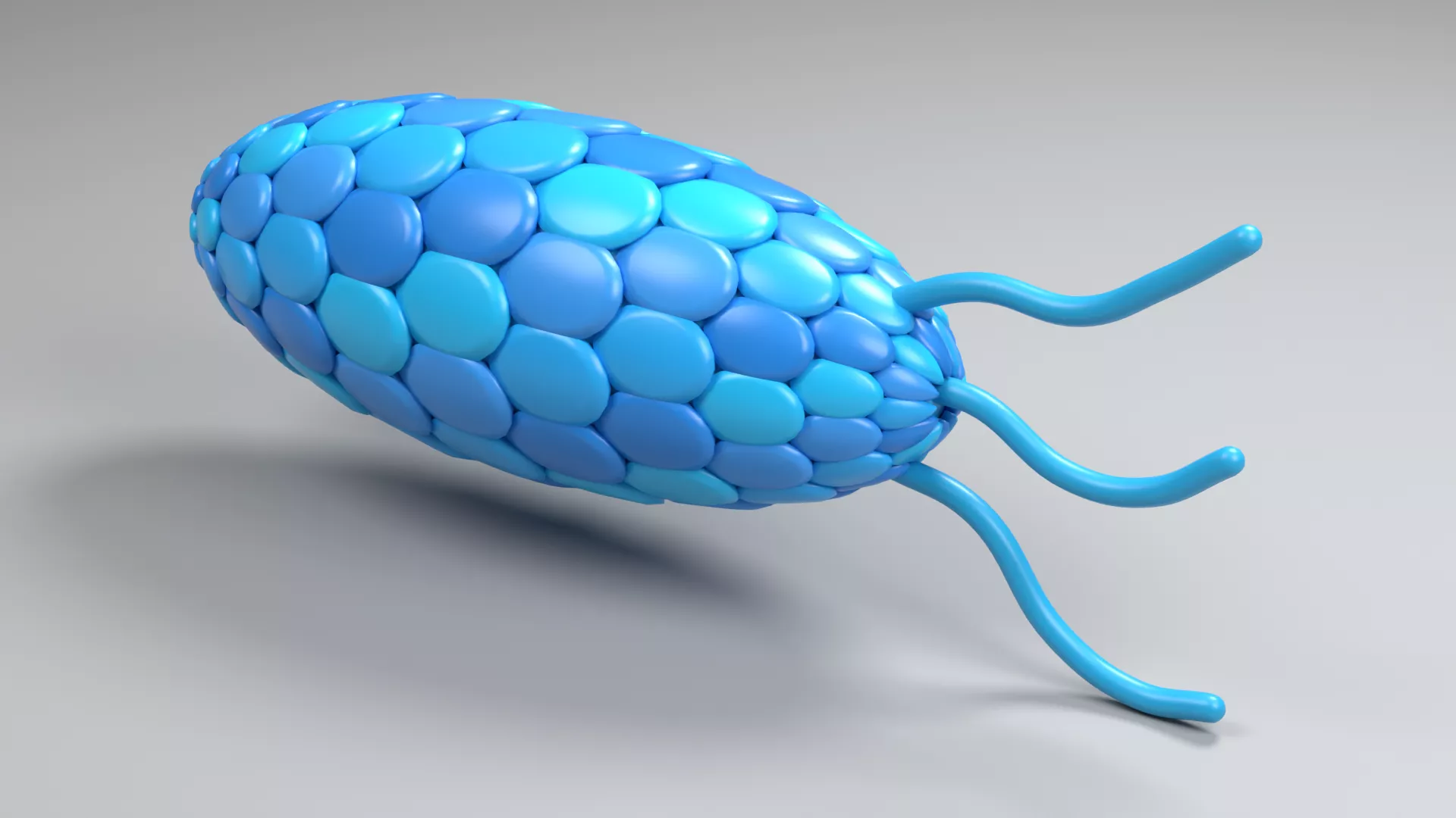 Blue Scaled Bacterium with Long Flagella Low-poly 3D model