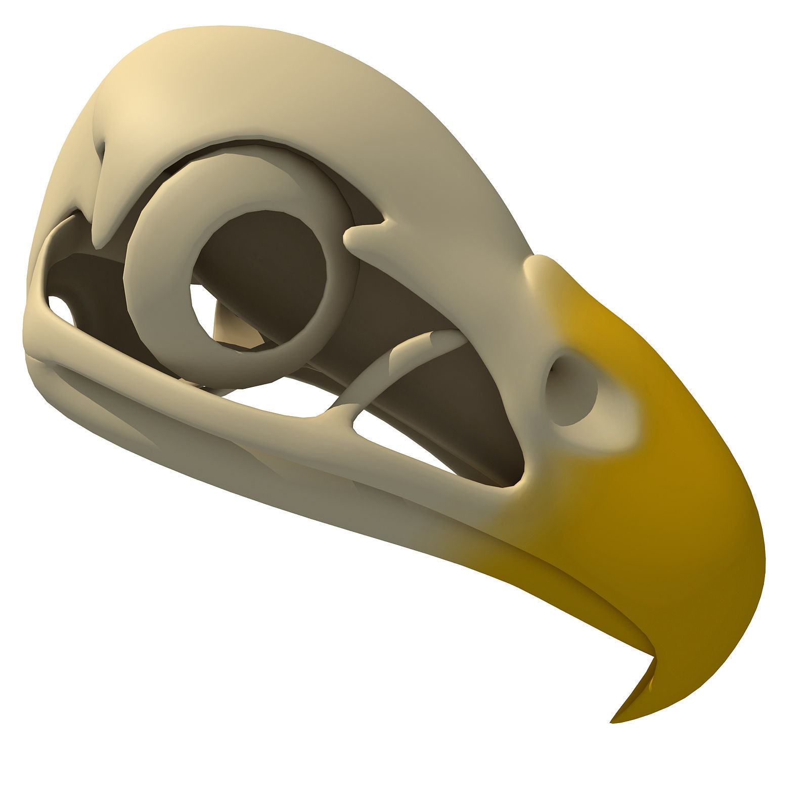 Bones of Eagle Skull 3D model_8
