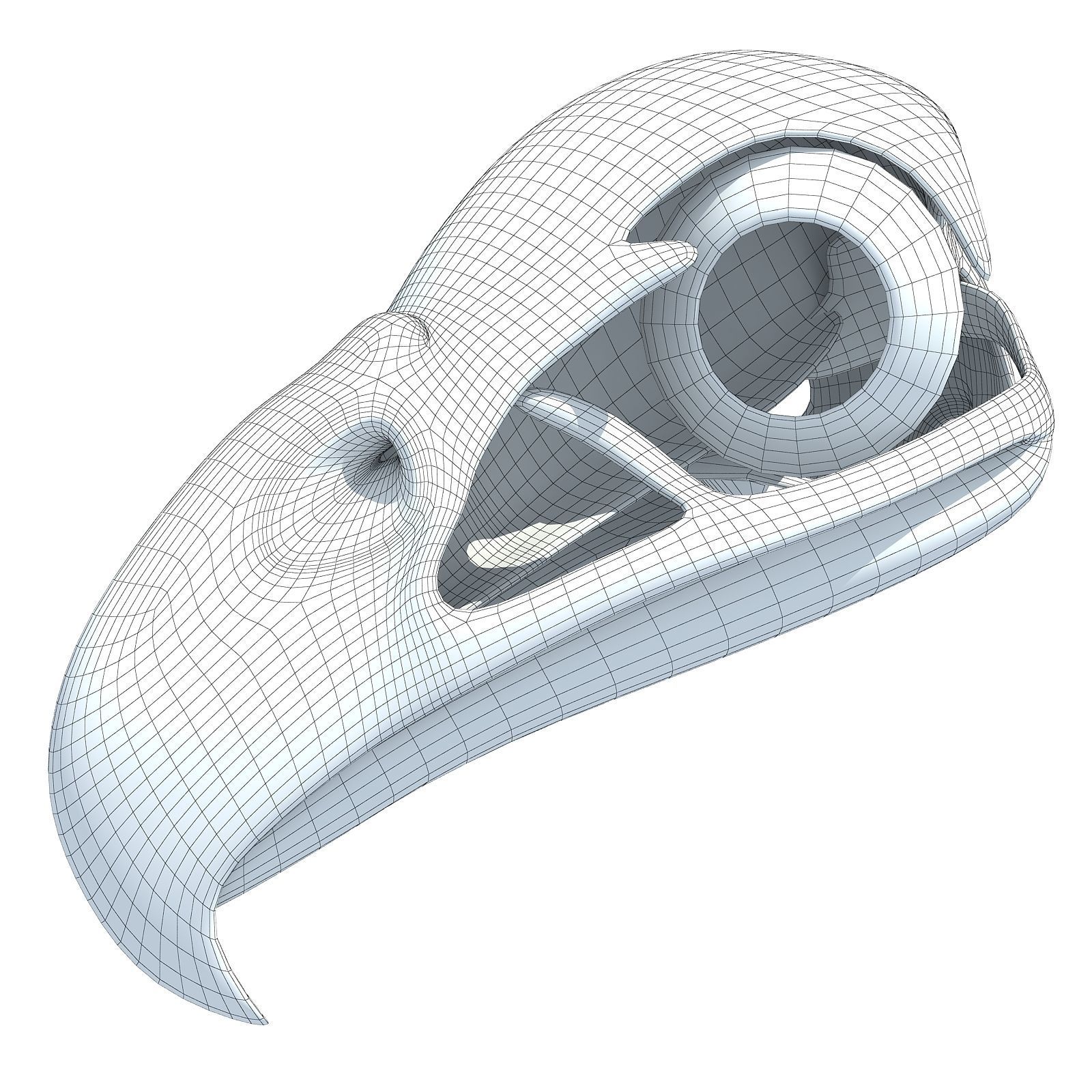 Bones of Eagle Skull 3D model_10