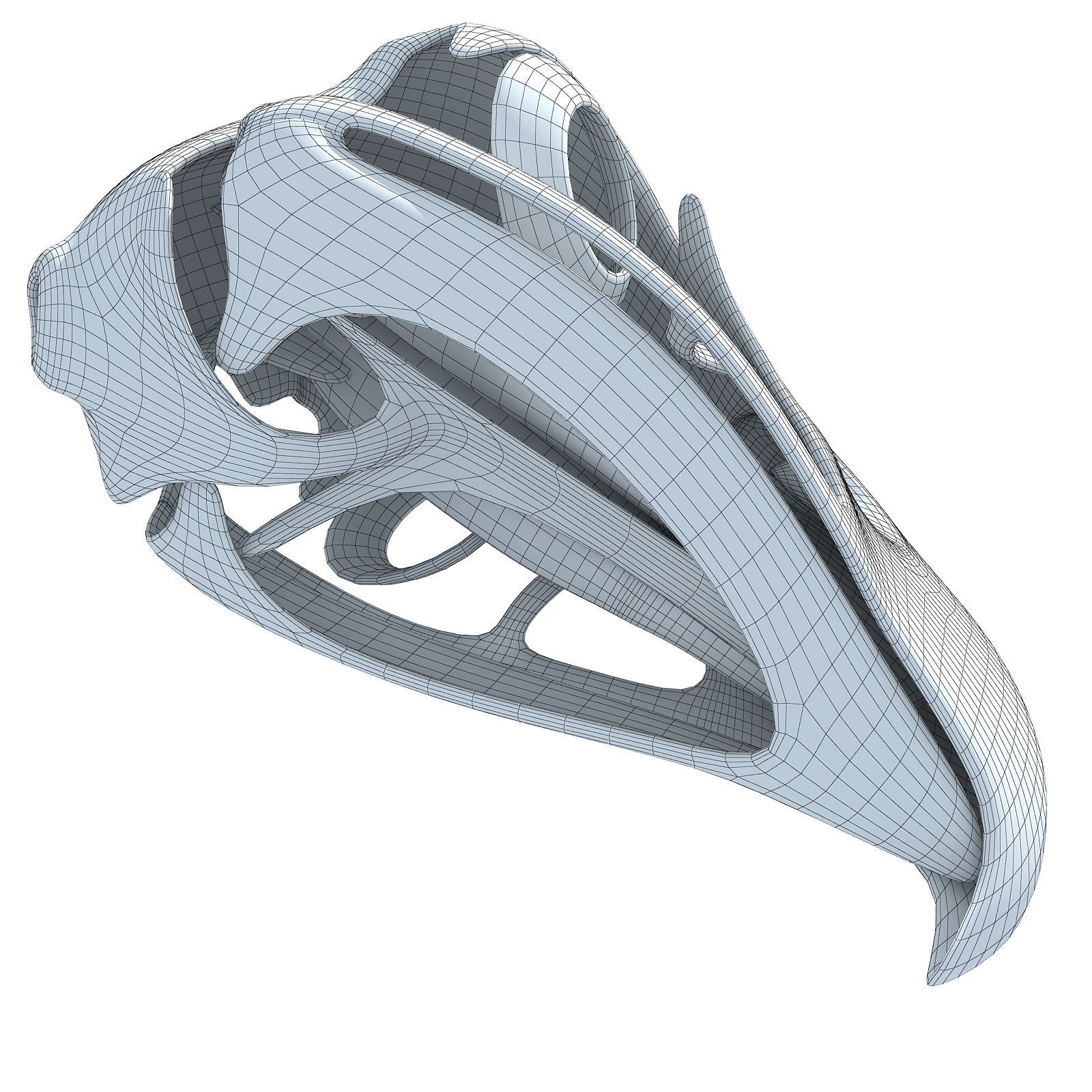 Bones of Eagle Skull 3D model_12