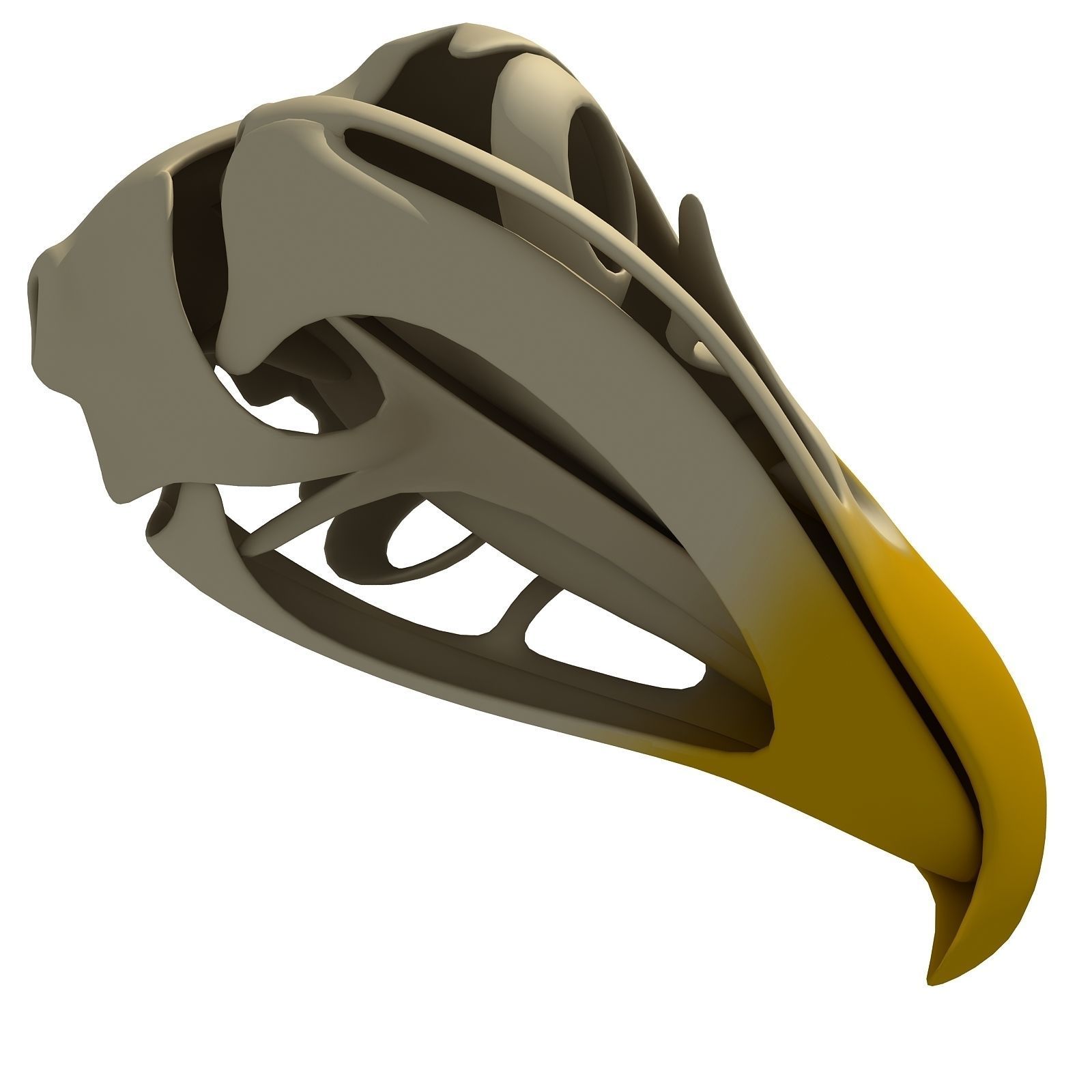 Bones of Eagle Skull 3D model_4