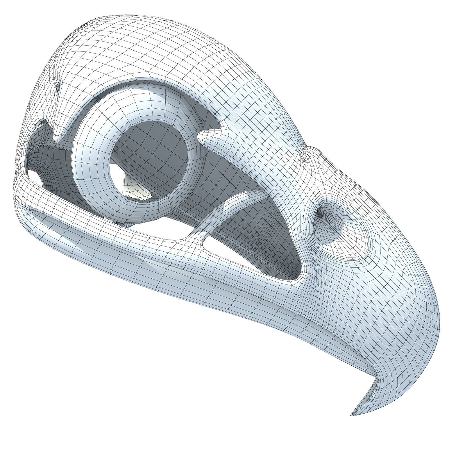 Bones of Eagle Skull 3D model_11