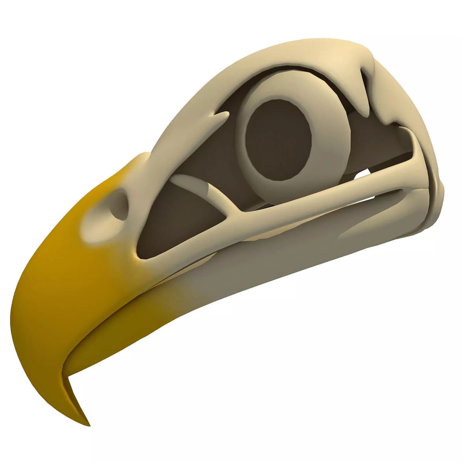 Bones of Eagle Skull 3D model_0