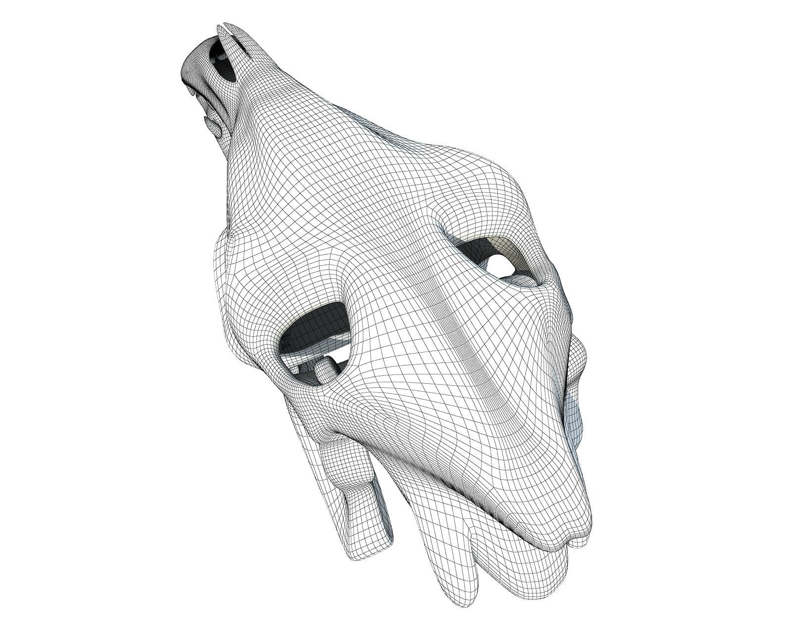 Bones of  Donkey Skull 3D model_12