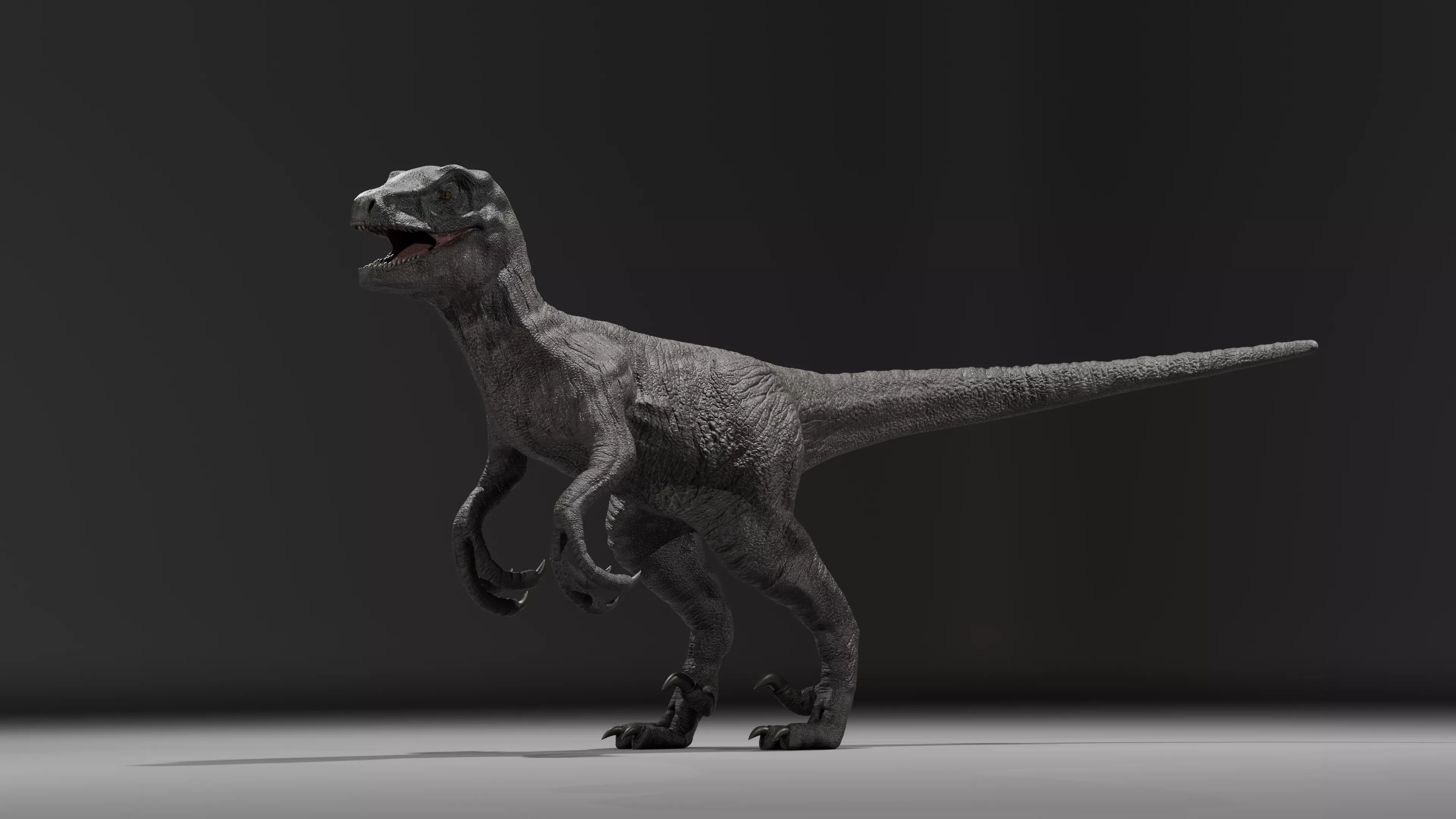 Dinosaur Box Science 3D model Velociraptor - Rigged Dinosaur - 4K UDIM VR / AR / low-poly ...