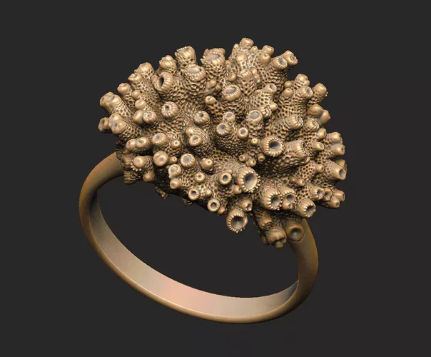 Coral wax-master digital-sculpt bronze brass-casting gold silver