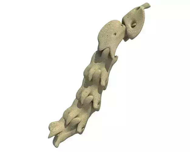 Animal Neck Cervicale 3D model