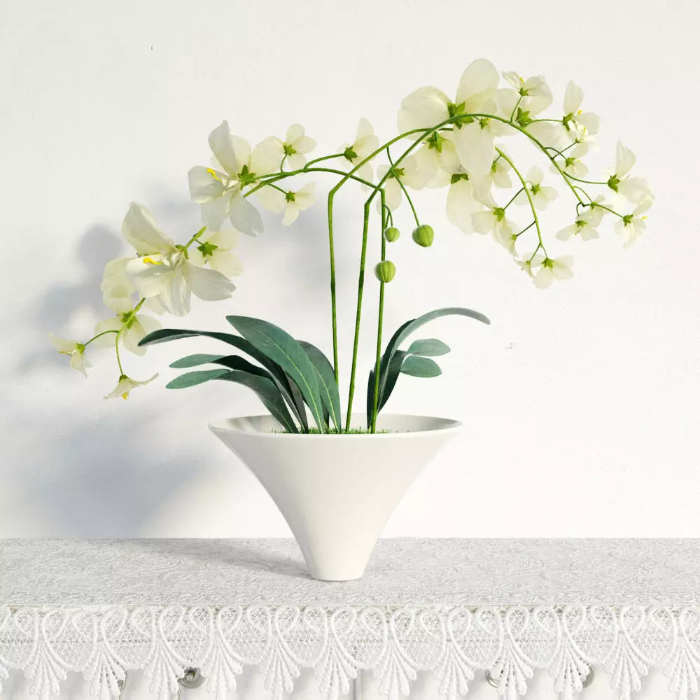 plant 05 am141 3D model_0