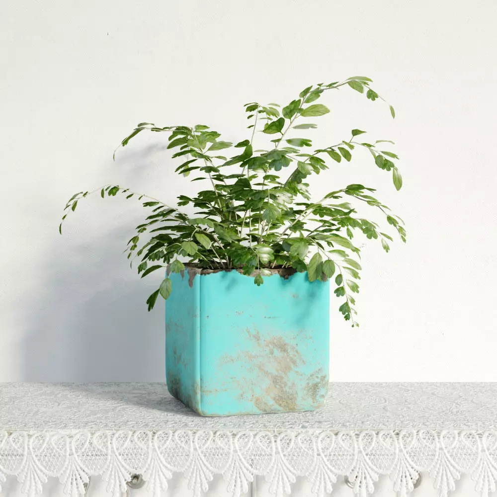 plant 03 am141 3D model_0