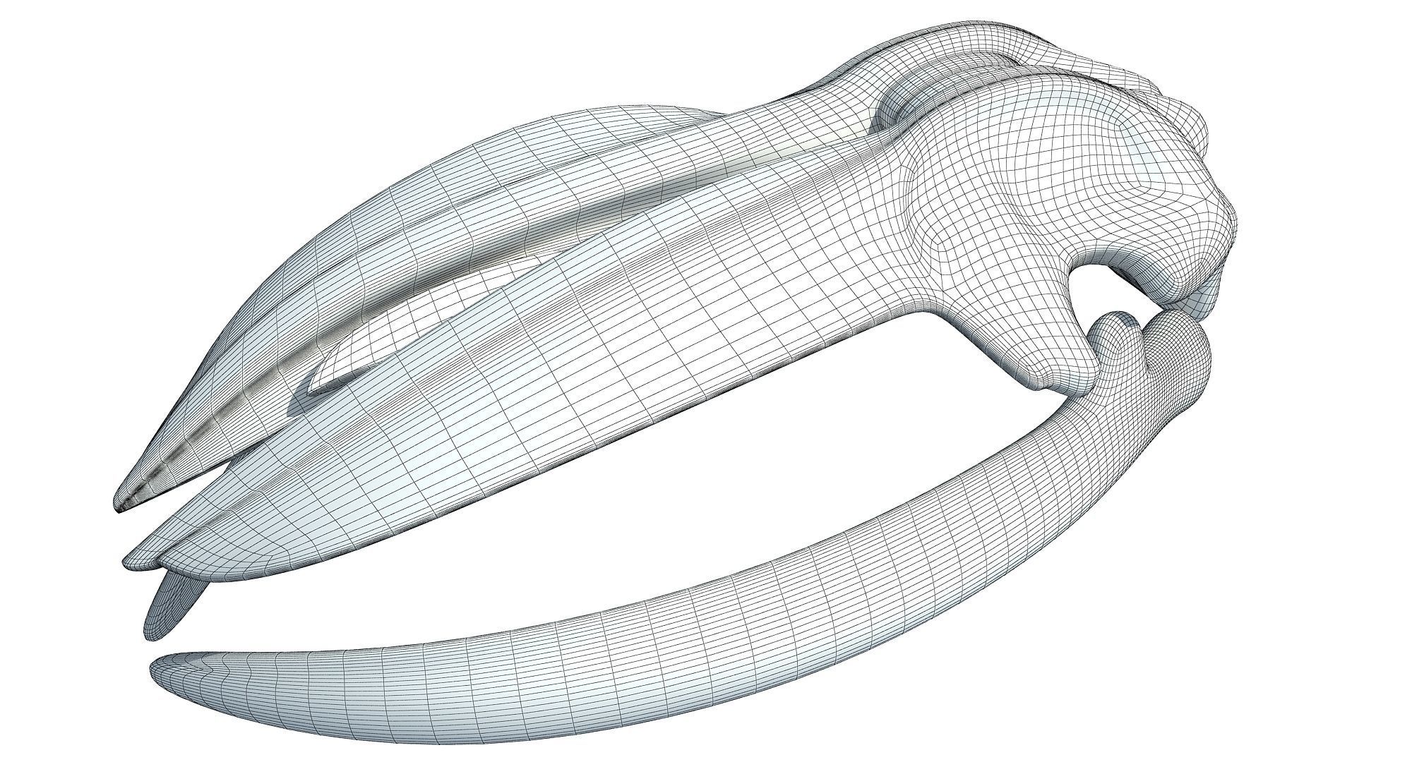 Detailed Whale Skull 3D model_8