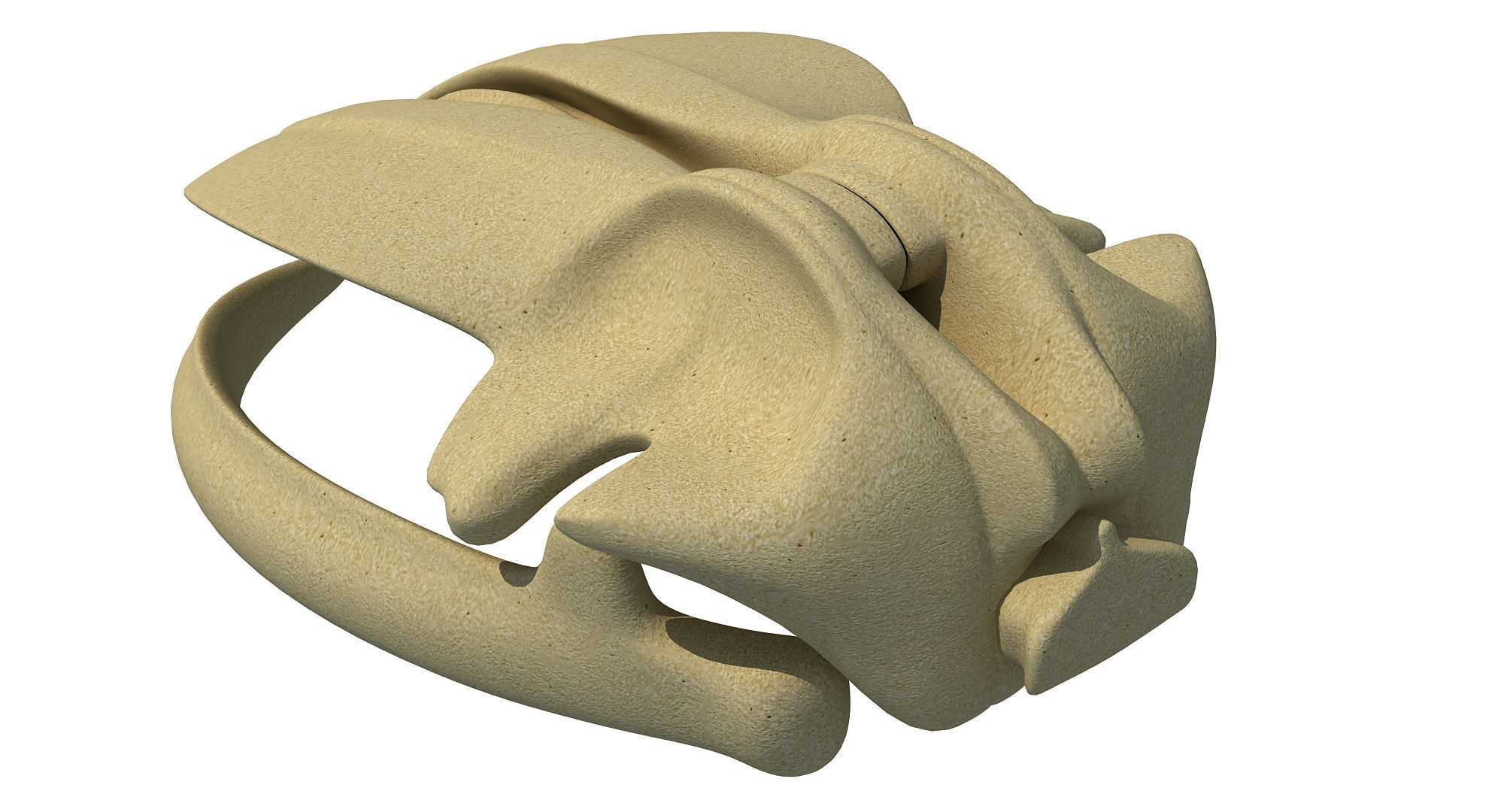 Detailed Whale Skull 3D model_2