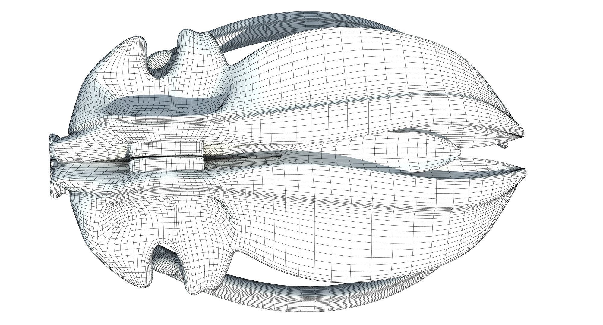 Detailed Whale Skull 3D model_9