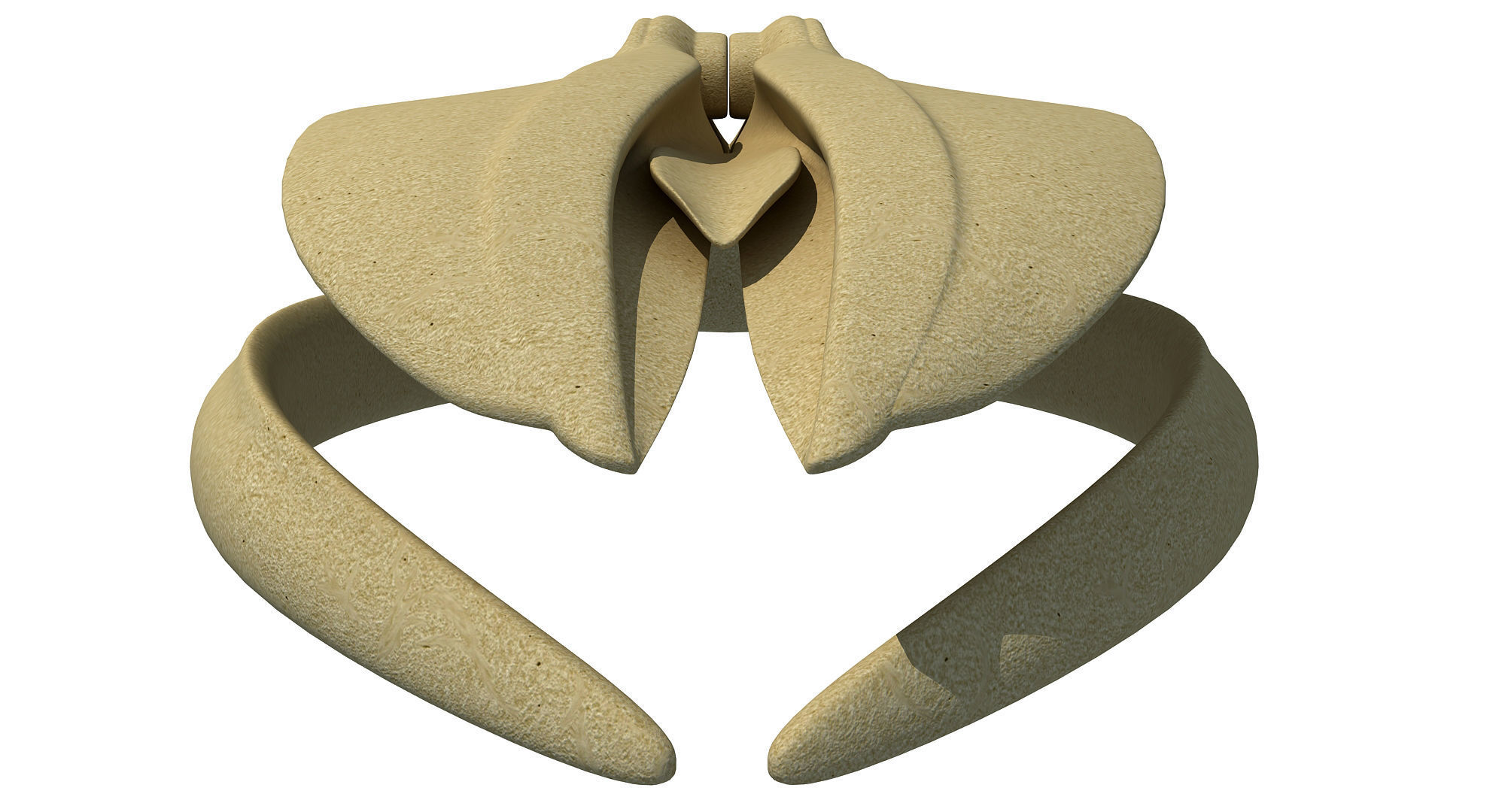 Detailed Whale Skull 3D model_3