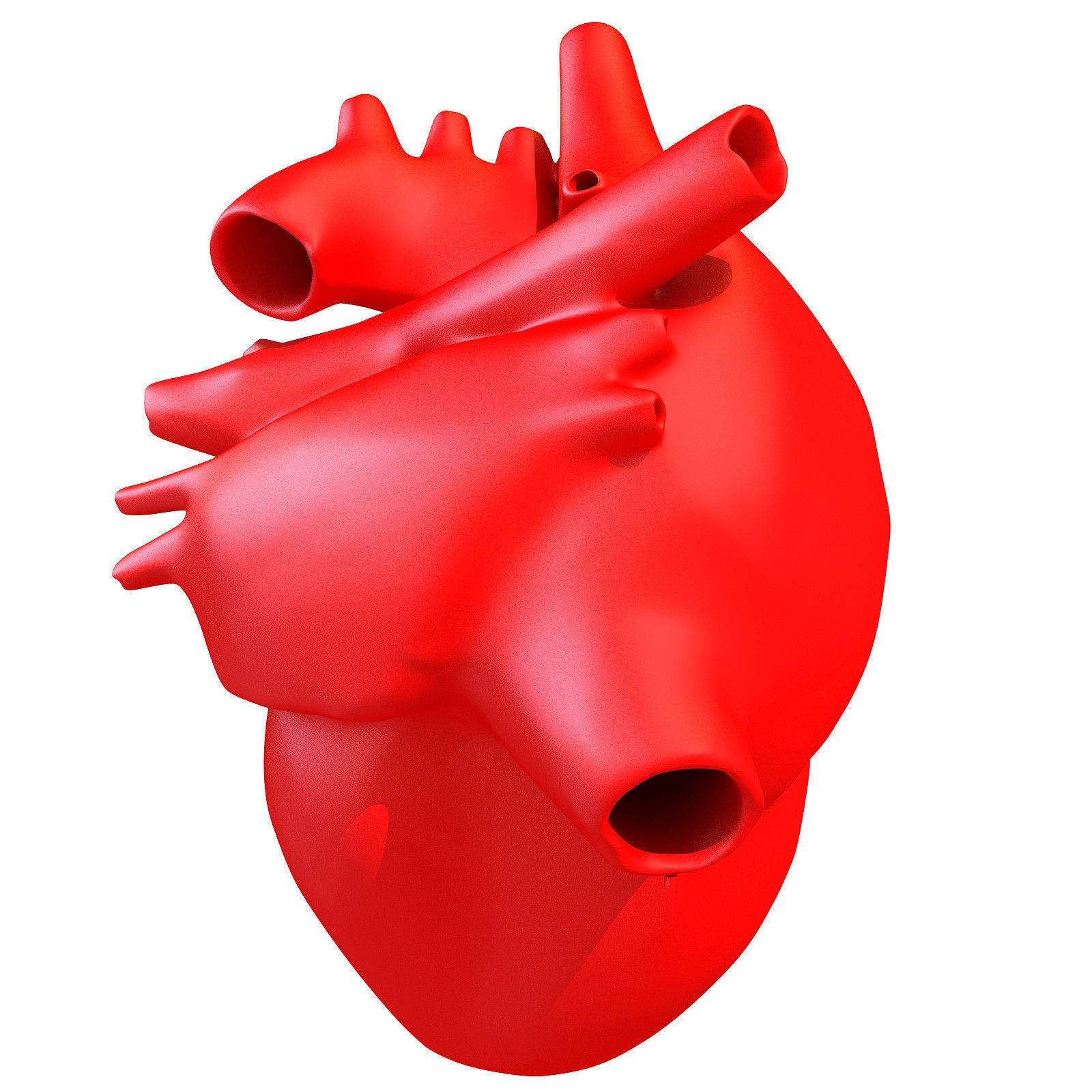 Printable Human Heart 3D model_3