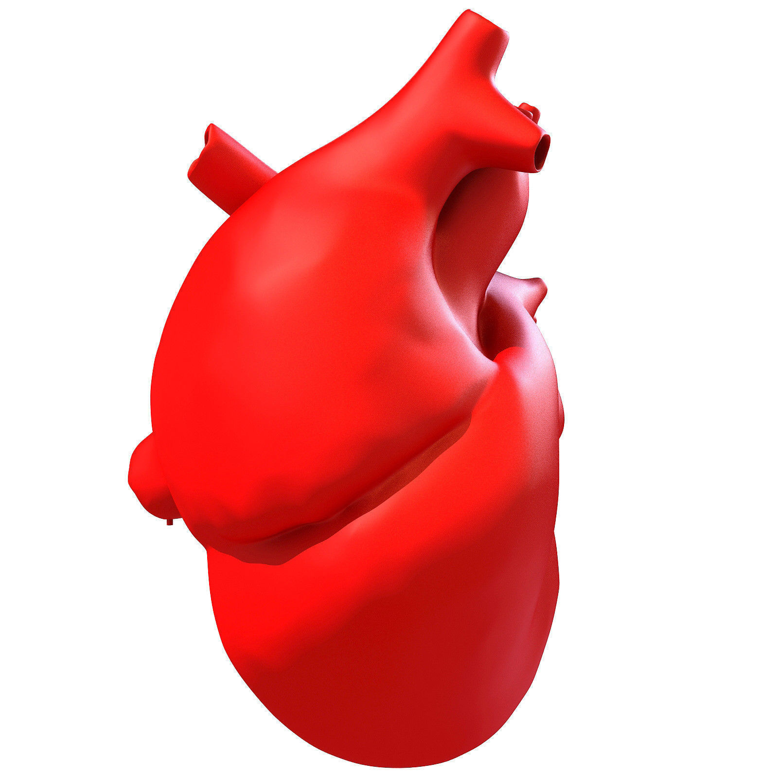 Printable Human Heart 3D model_2