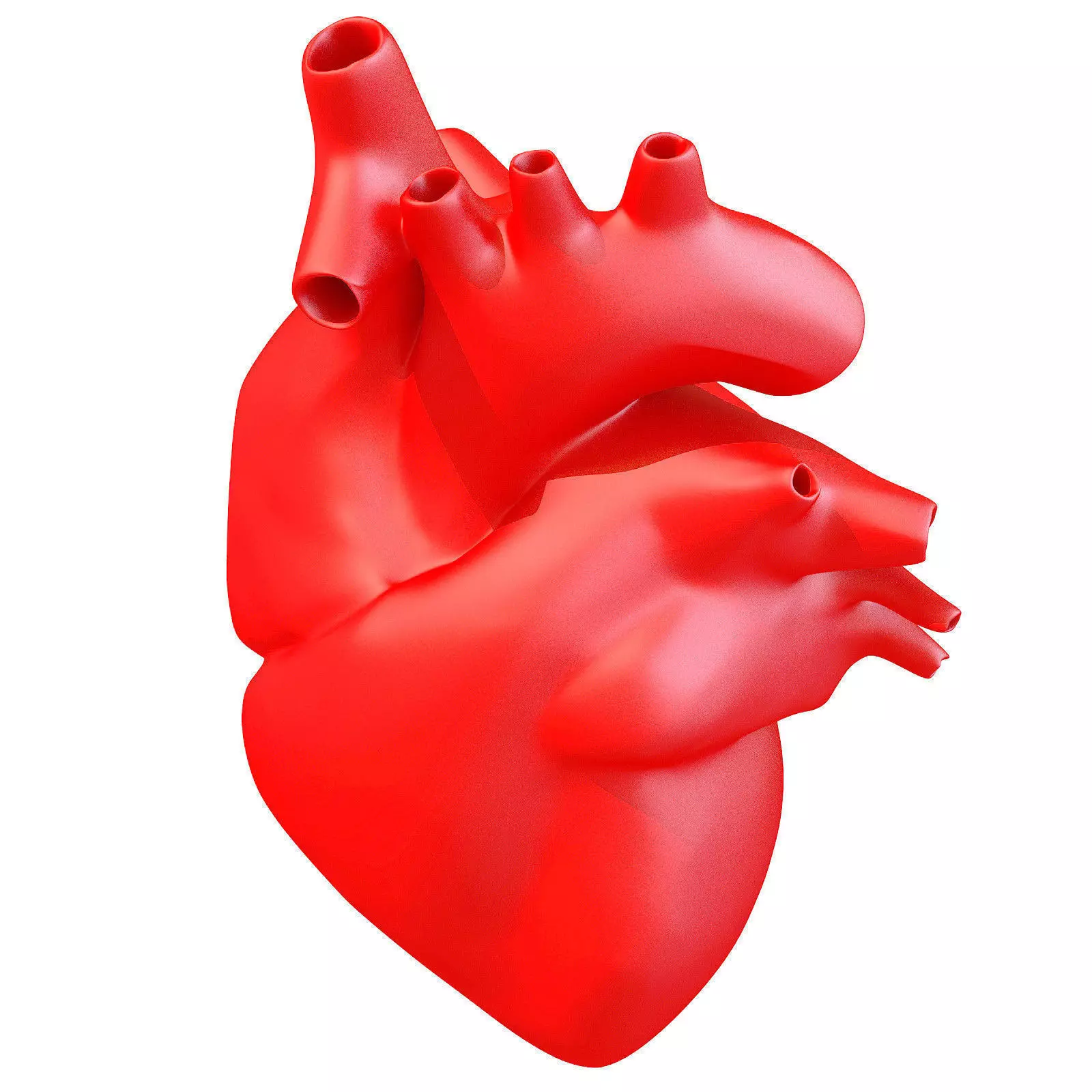 Printable Human Heart 3D model_0