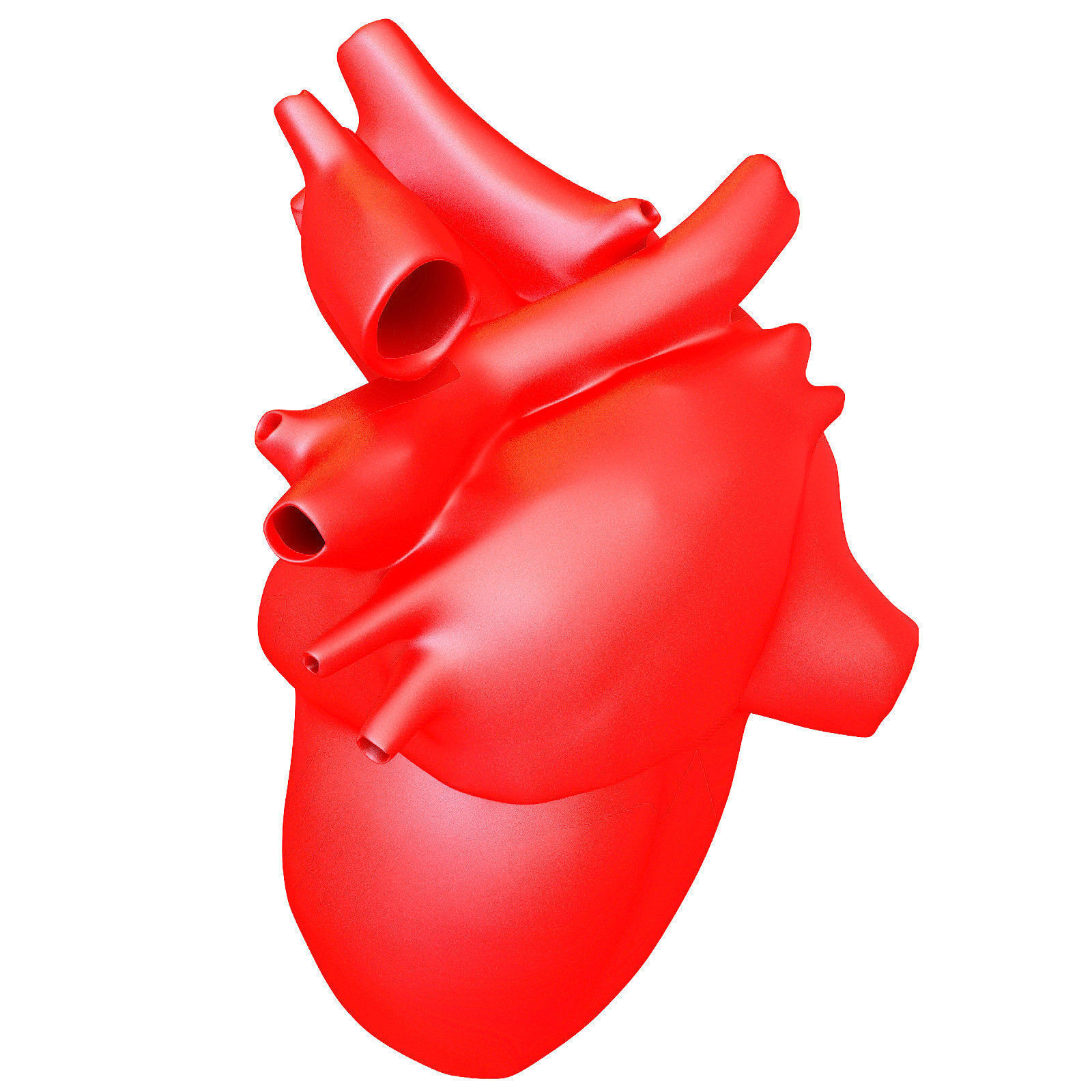Printable Human Heart 3D model_1