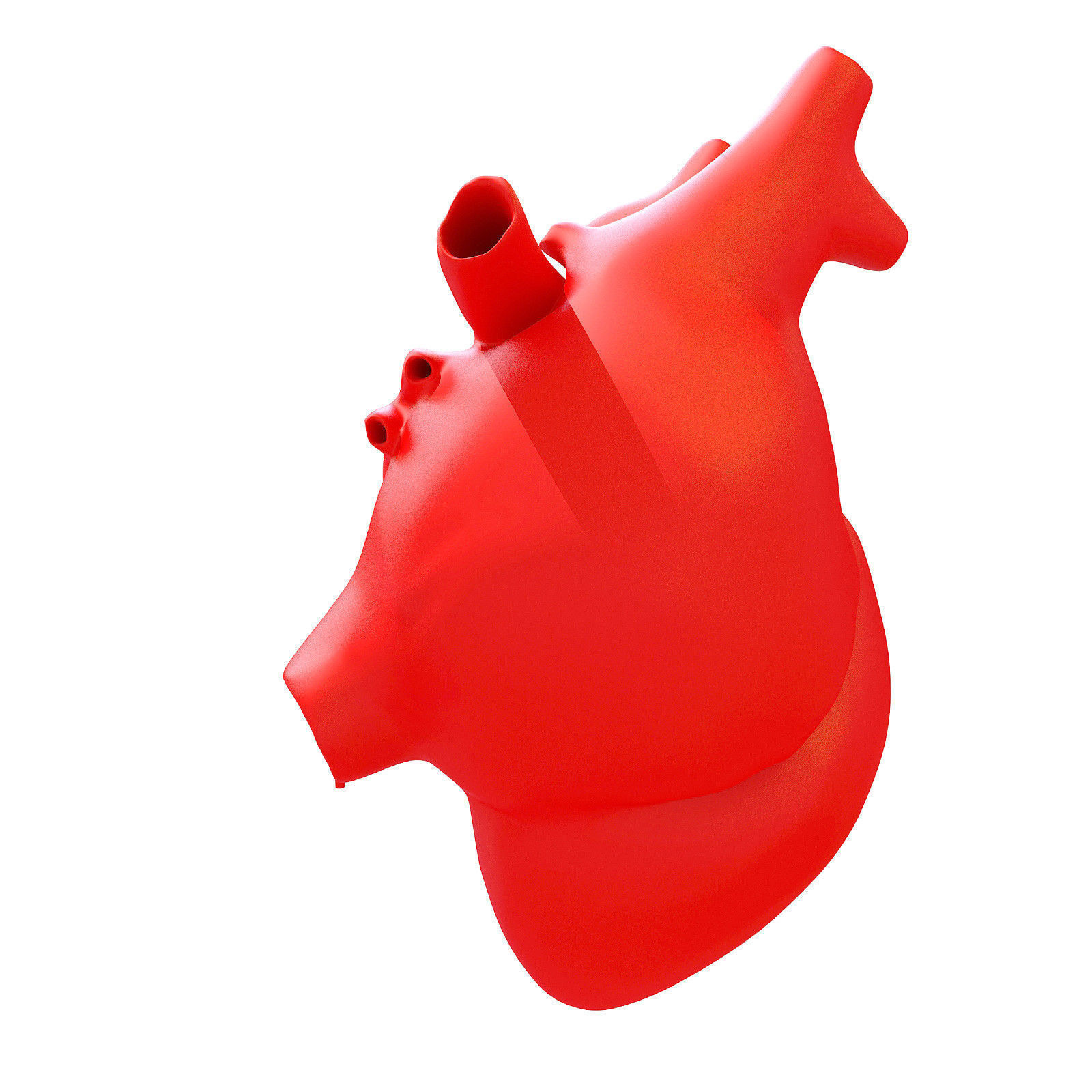 Printable Human Heart 3D model_4