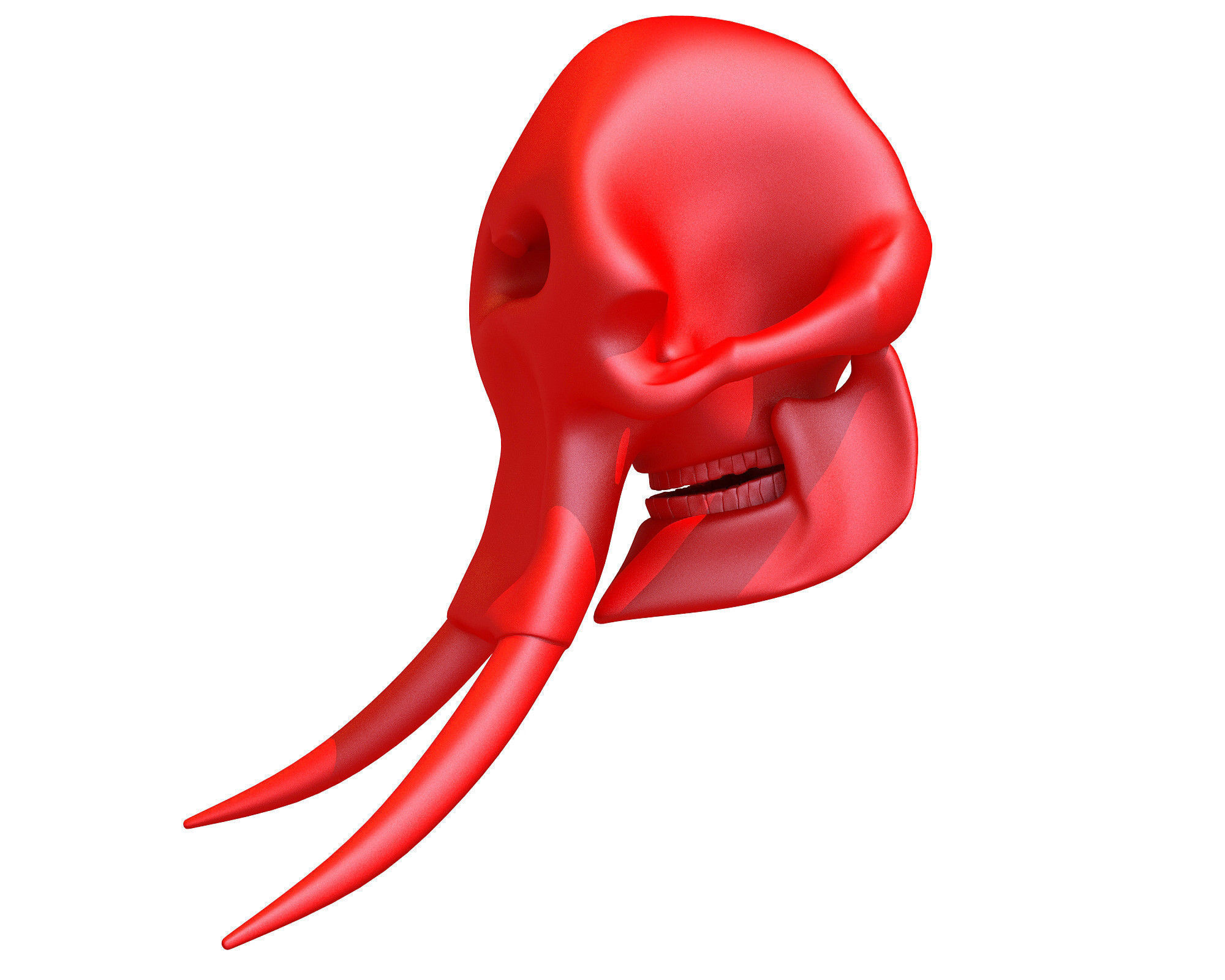 Printable Elephant Skull 3D model_1