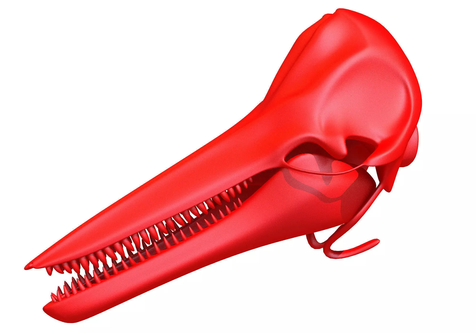 Printable Dolphin Skull 3D model_0