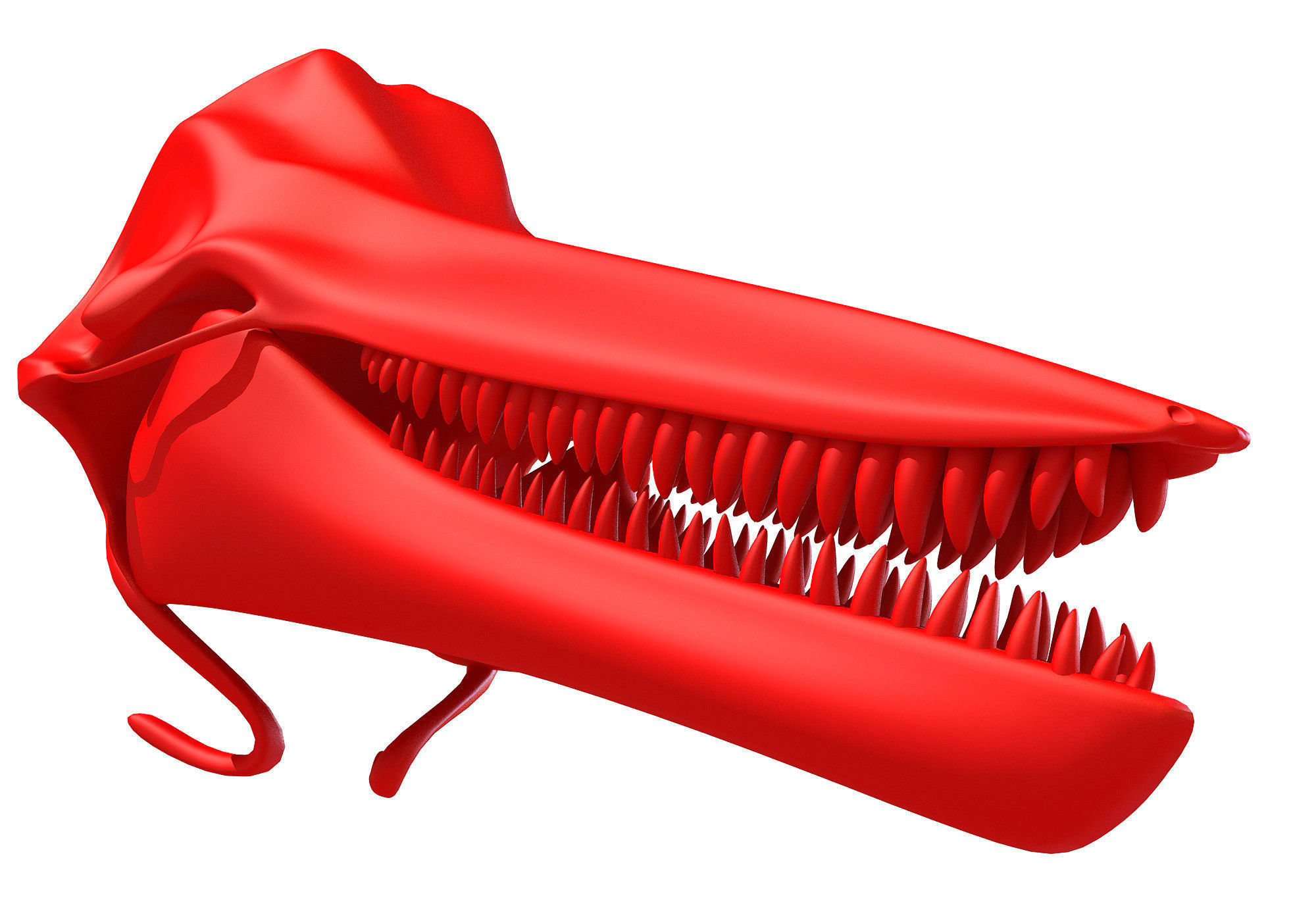 Printable Dolphin Skull 3D model_1