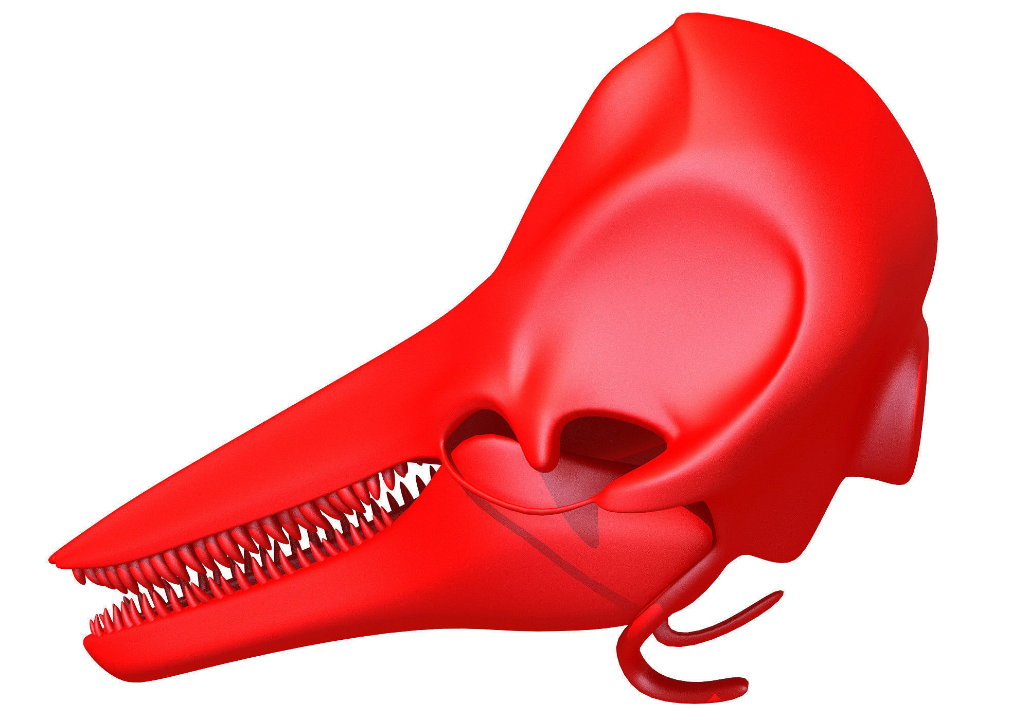 Printable Dolphin Skull 3D model_6