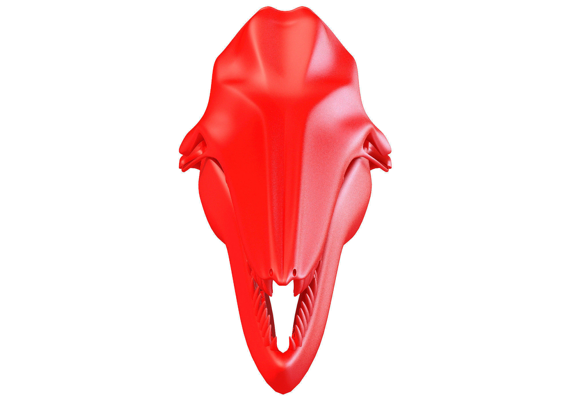 Printable Dolphin Skull 3D model_2