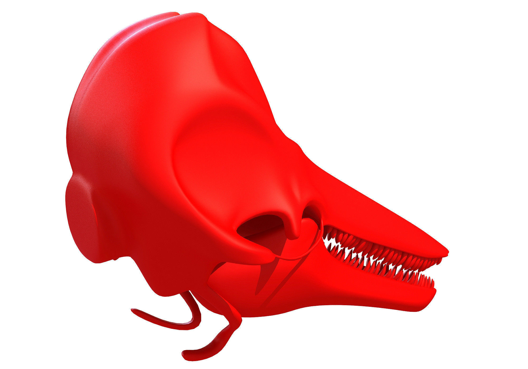 Printable Dolphin Skull 3D model_3