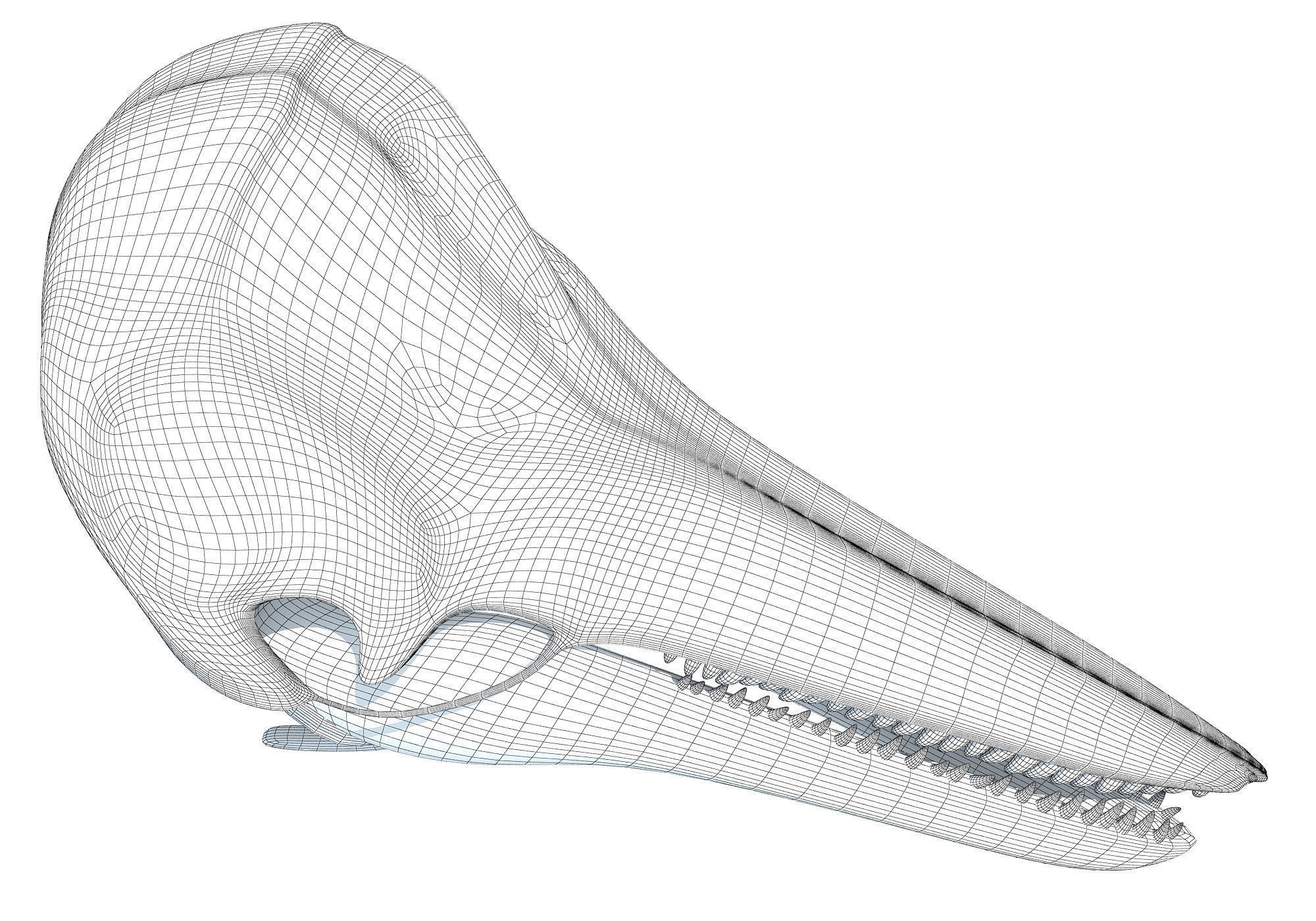 Printable Dolphin Skull 3D model_8