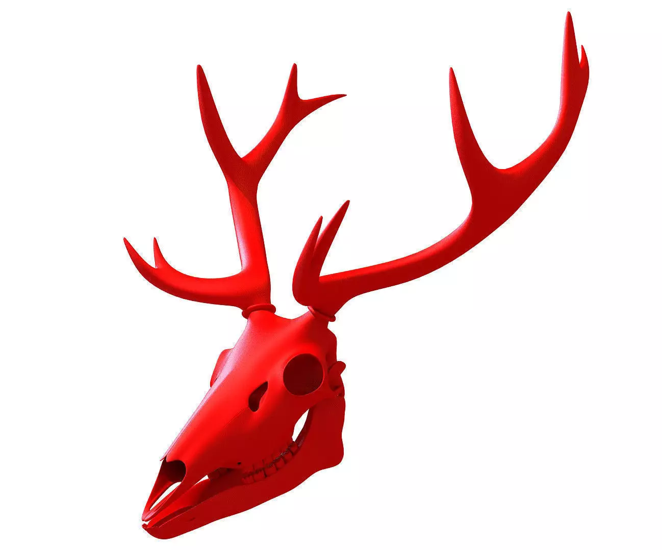 Printable Deer Skull 3D model_0