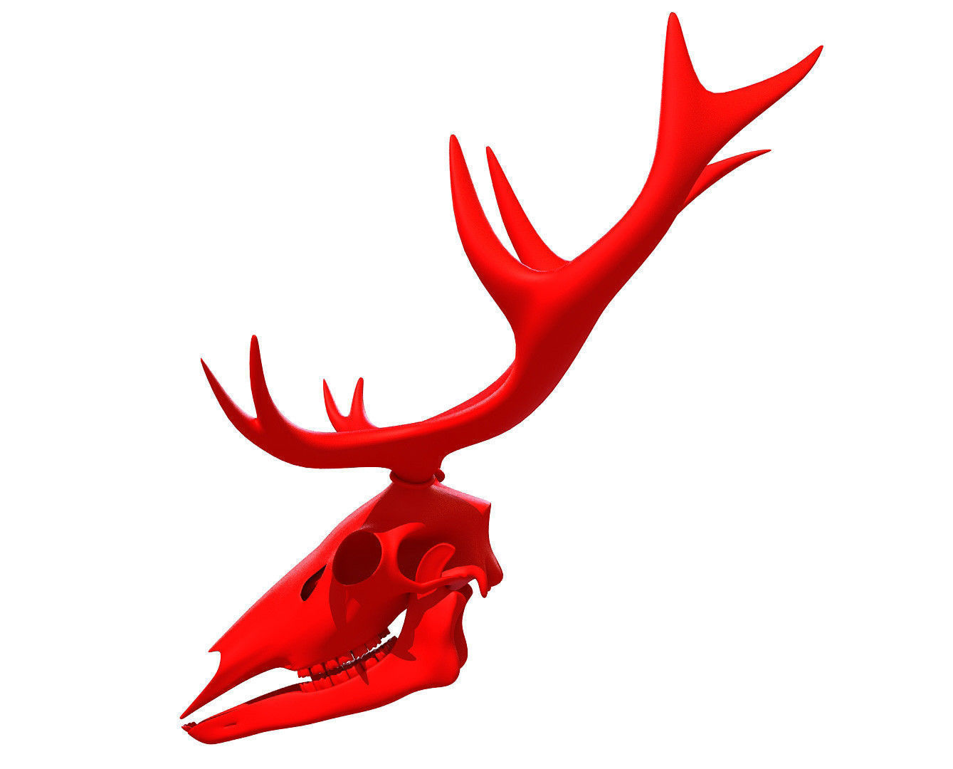 Printable Deer Skull 3D model_2