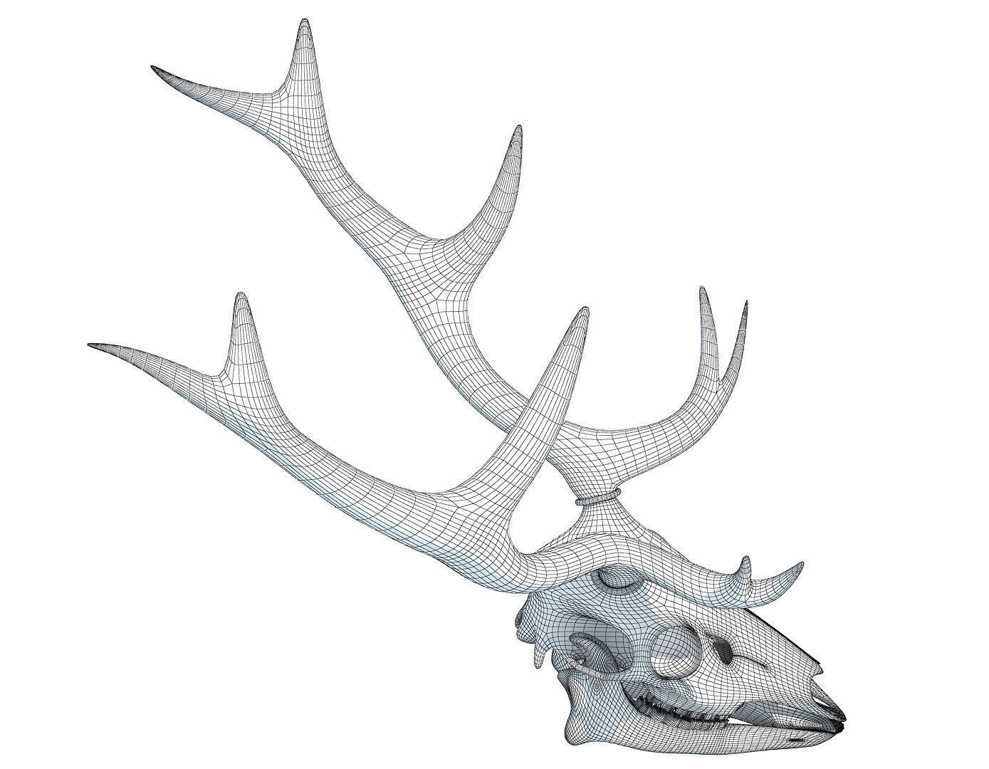 Printable Deer Skull 3D model_8
