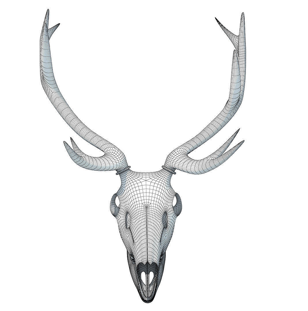 Printable Deer Skull 3D model_7