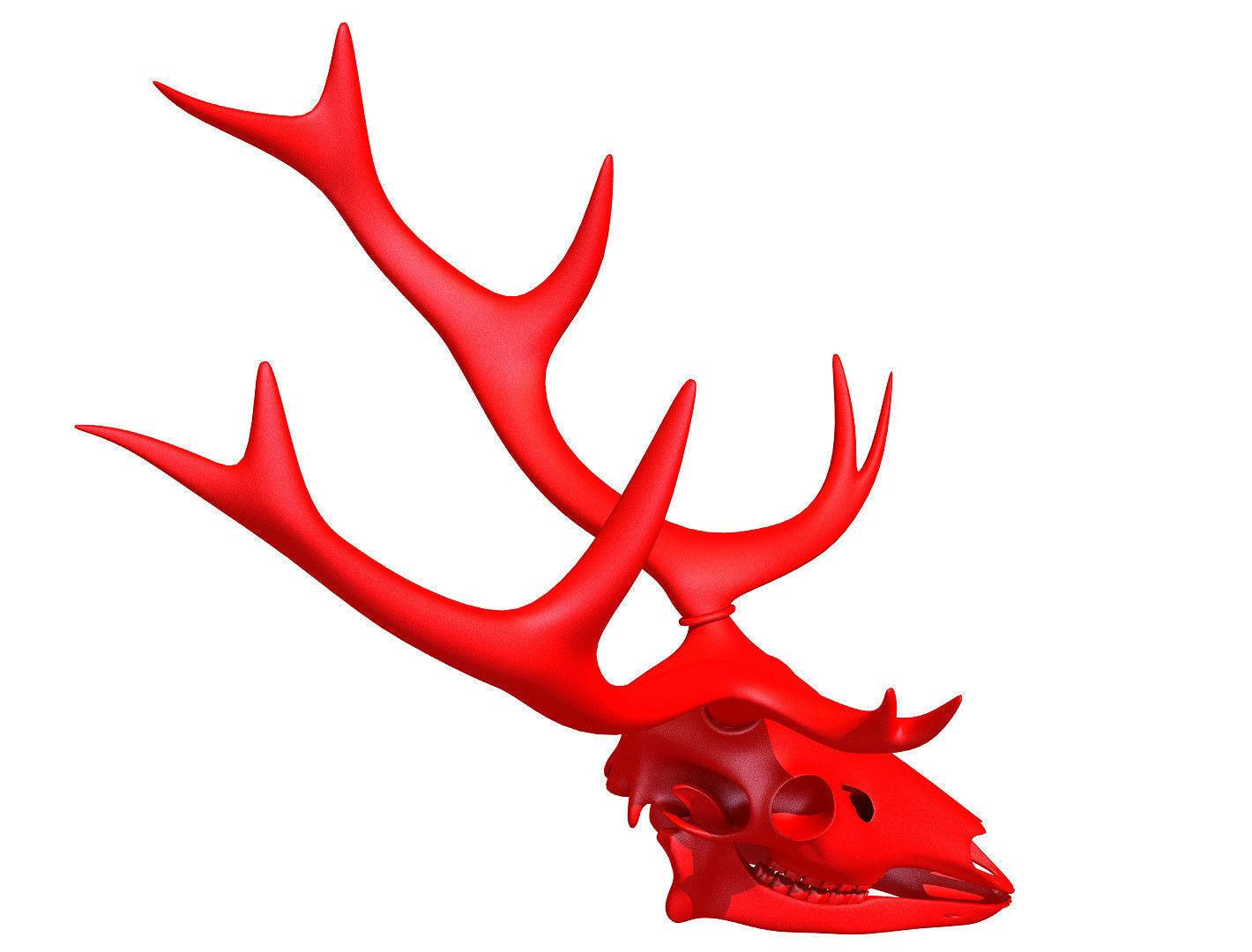 Printable Deer Skull 3D model_5