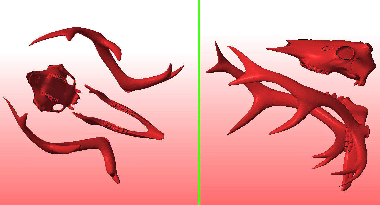 Printable Deer Skull 3D model_6