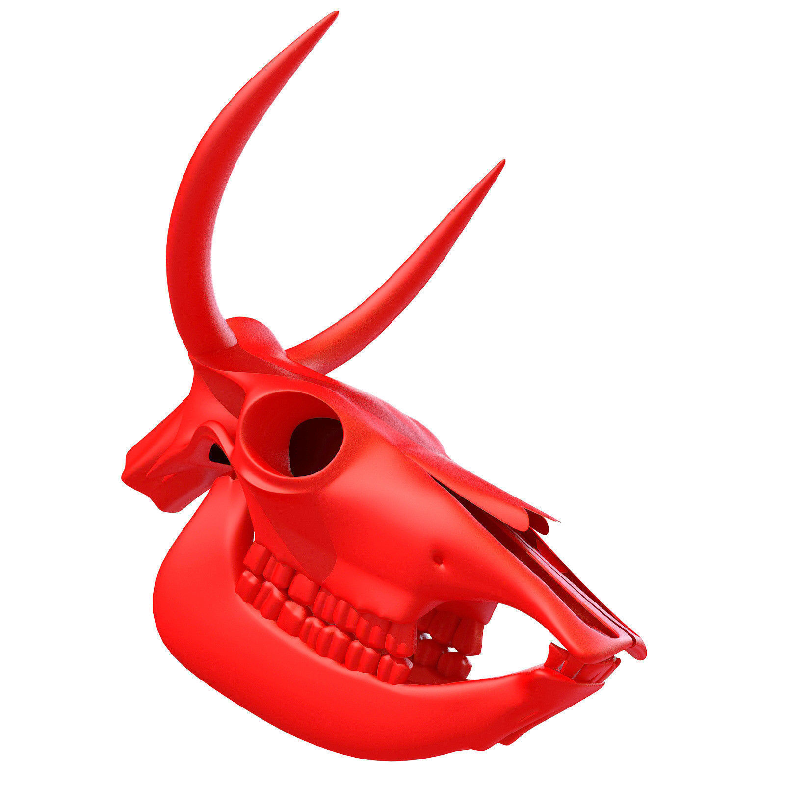 Printable Cow Skull with Horns 3D model_1