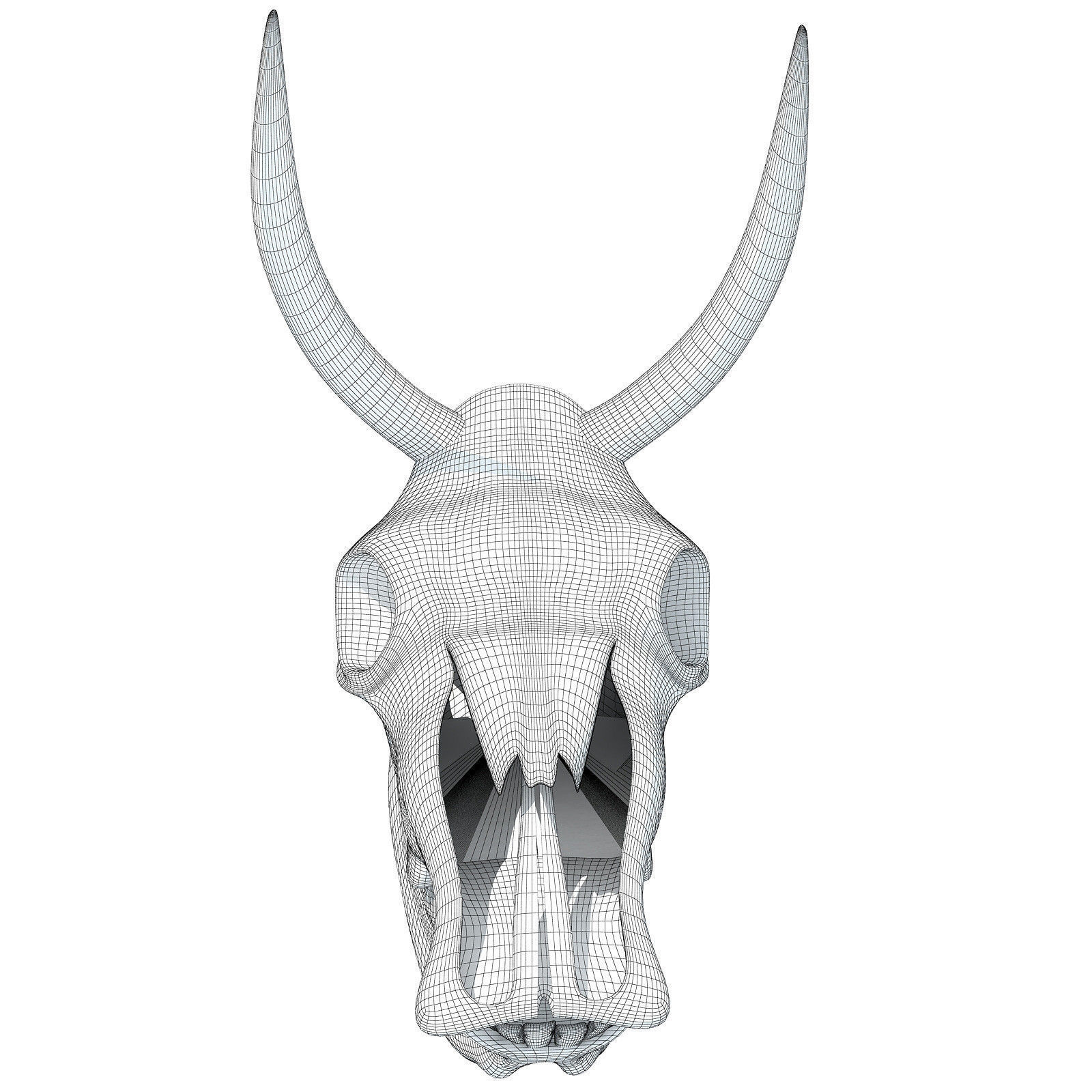 Printable Cow Skull with Horns 3D model_7