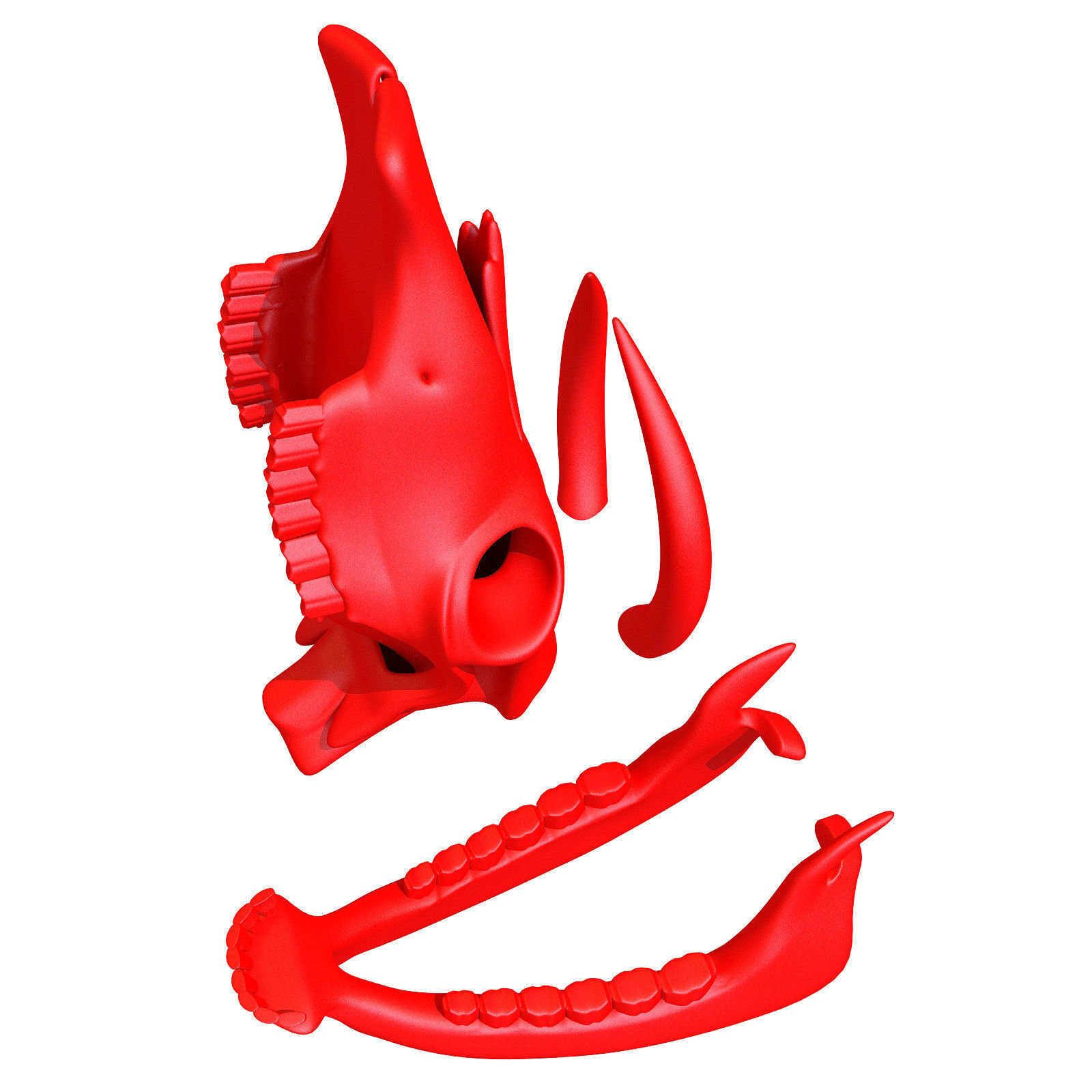 Printable Cow Skull with Horns 3D model_4