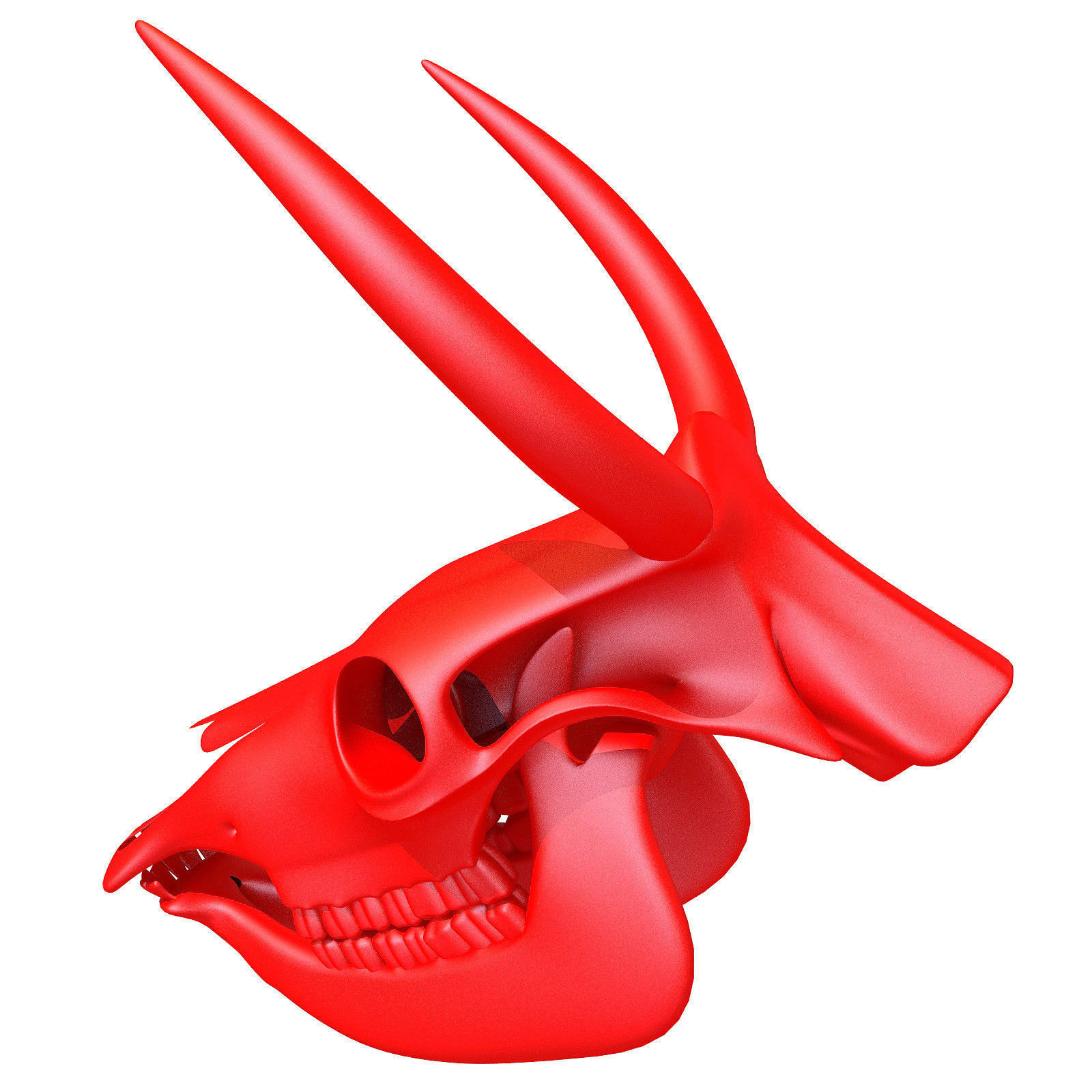 Printable Cow Skull with Horns 3D model_3