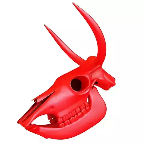 Printable Cow Skull with Horns 3D model