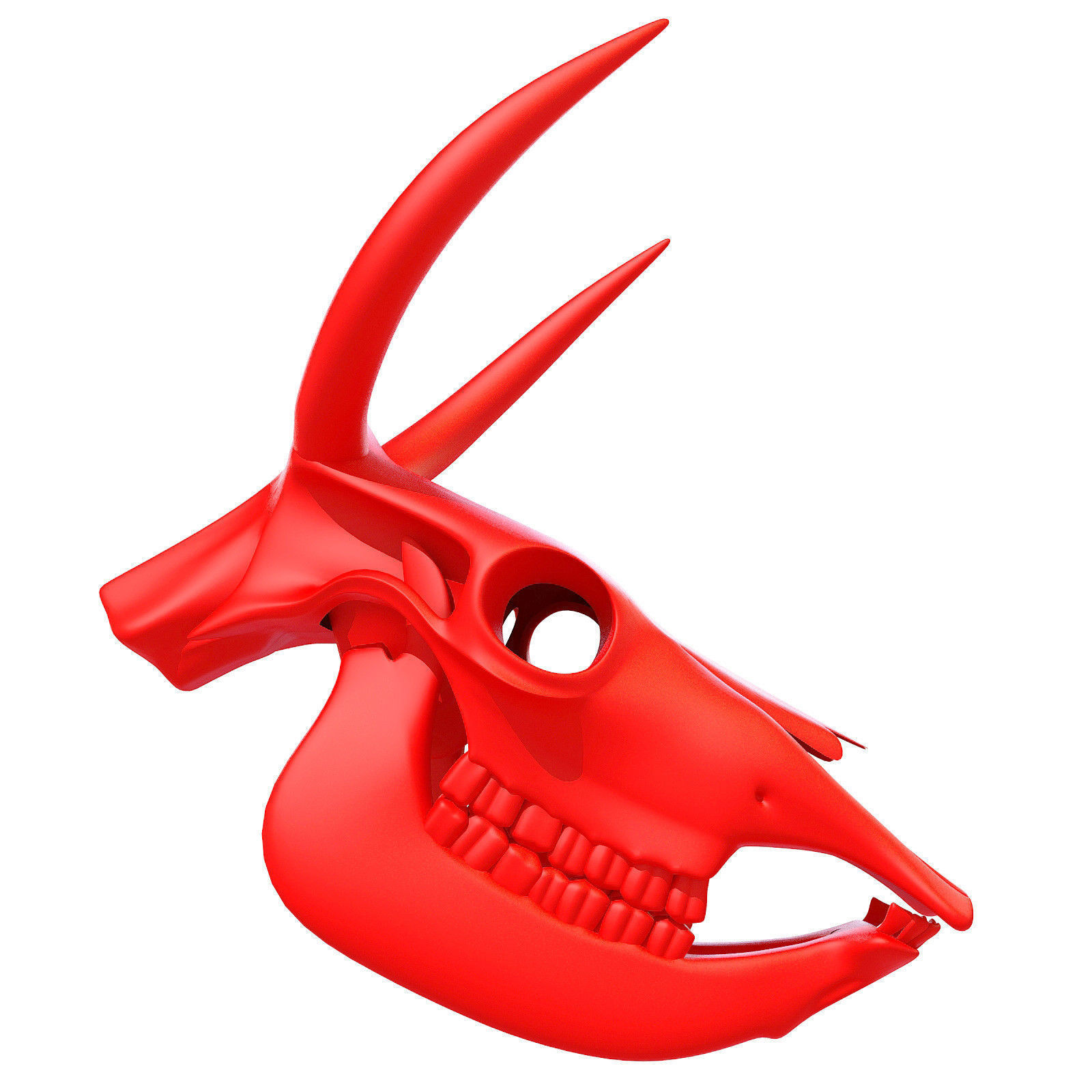 Printable Cow Skull with Horns 3D model_2