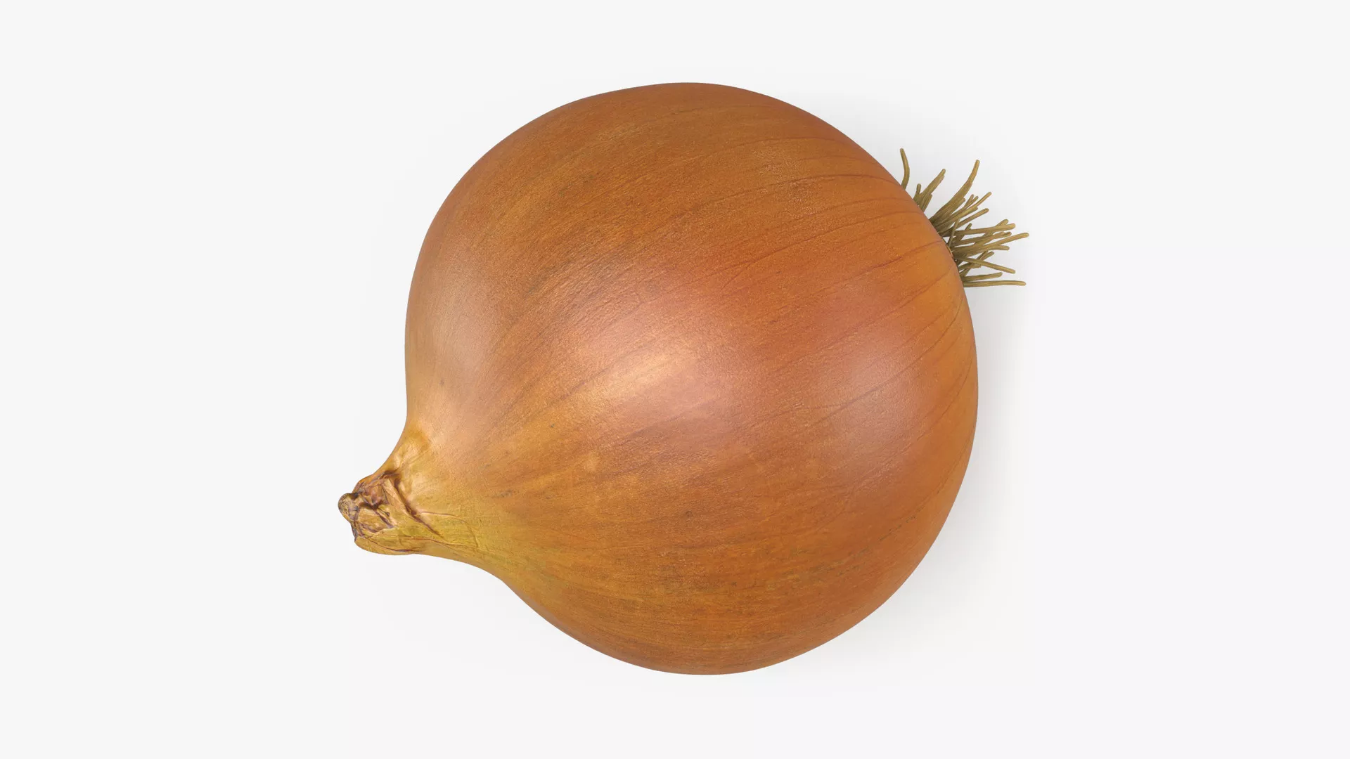 Whole Onion Low-poly 3D model