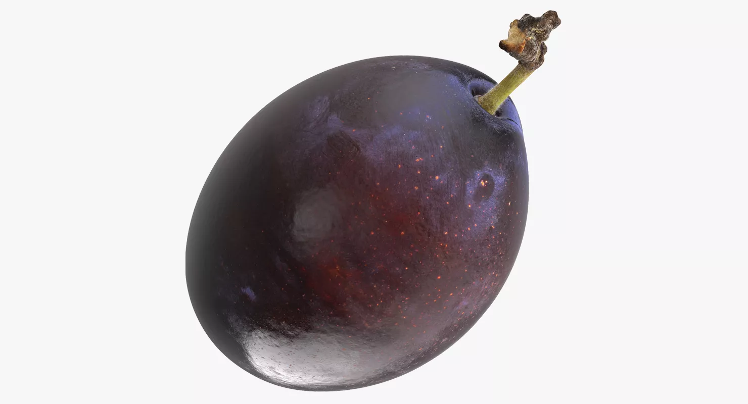 Blue Ripe Plum Fruit 3D model