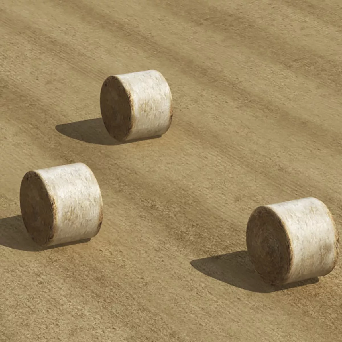 Hay Field Low-poly 3D model